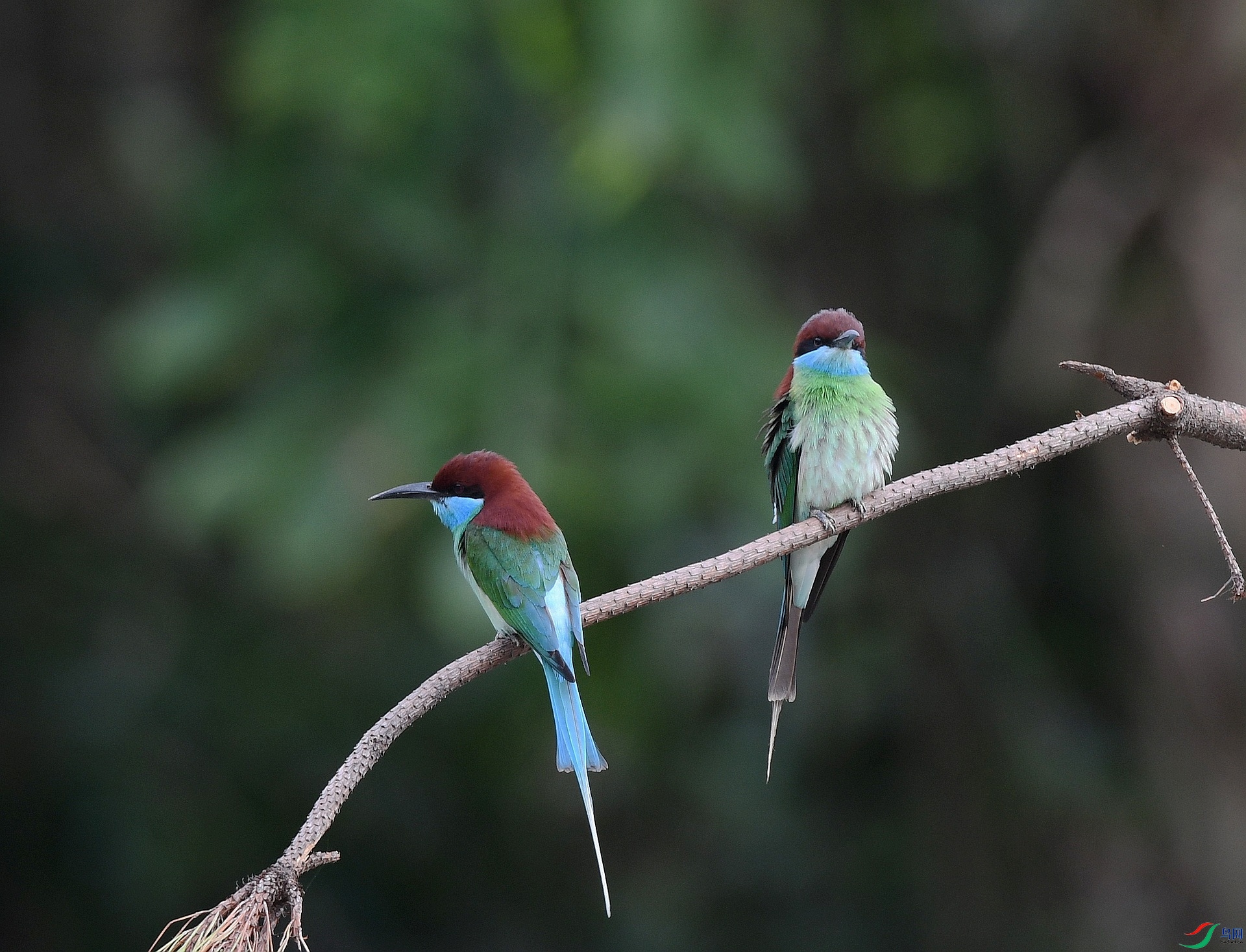 DSC_8097.jpg