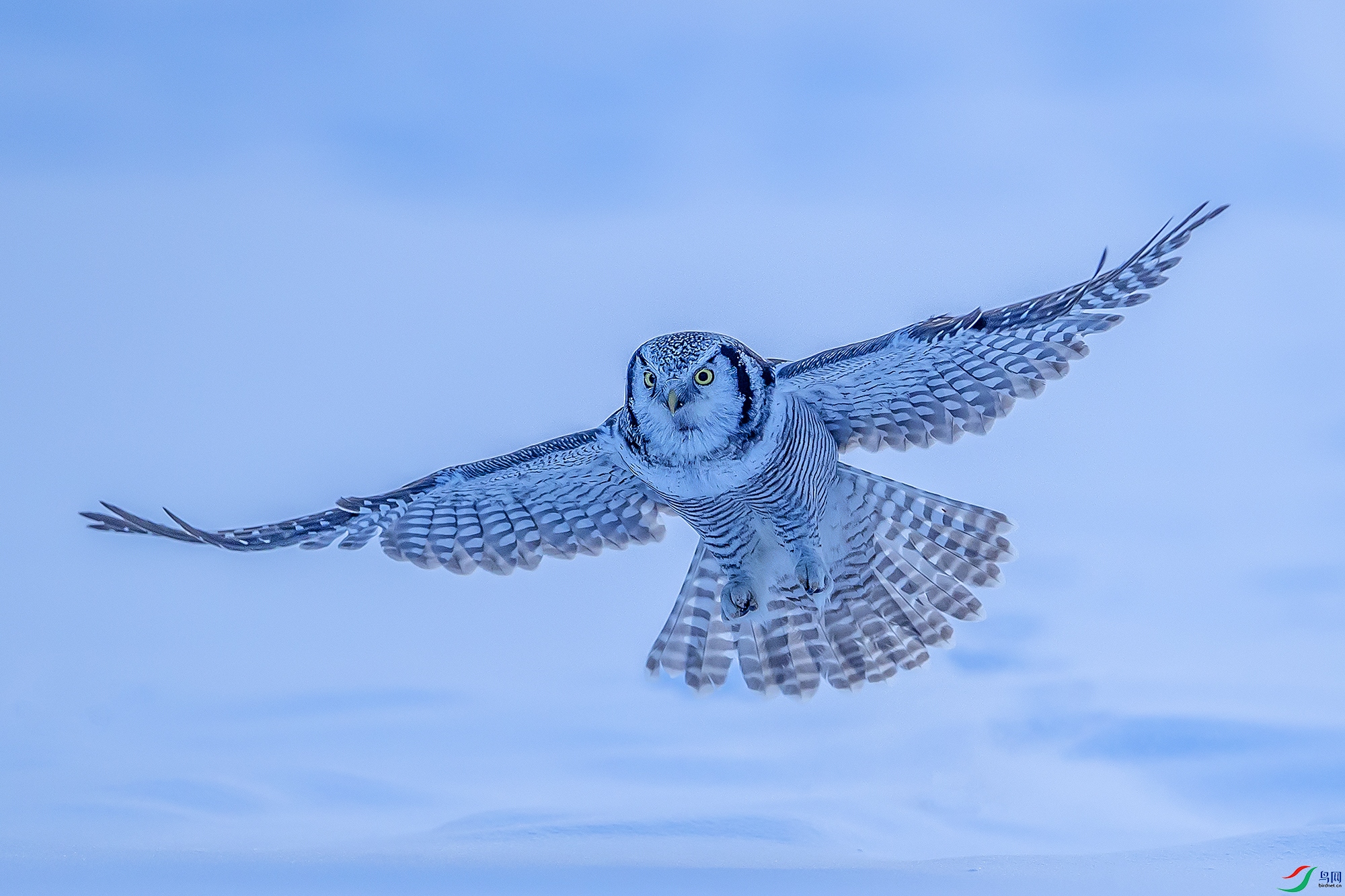 BC9I0087 ����.jpg