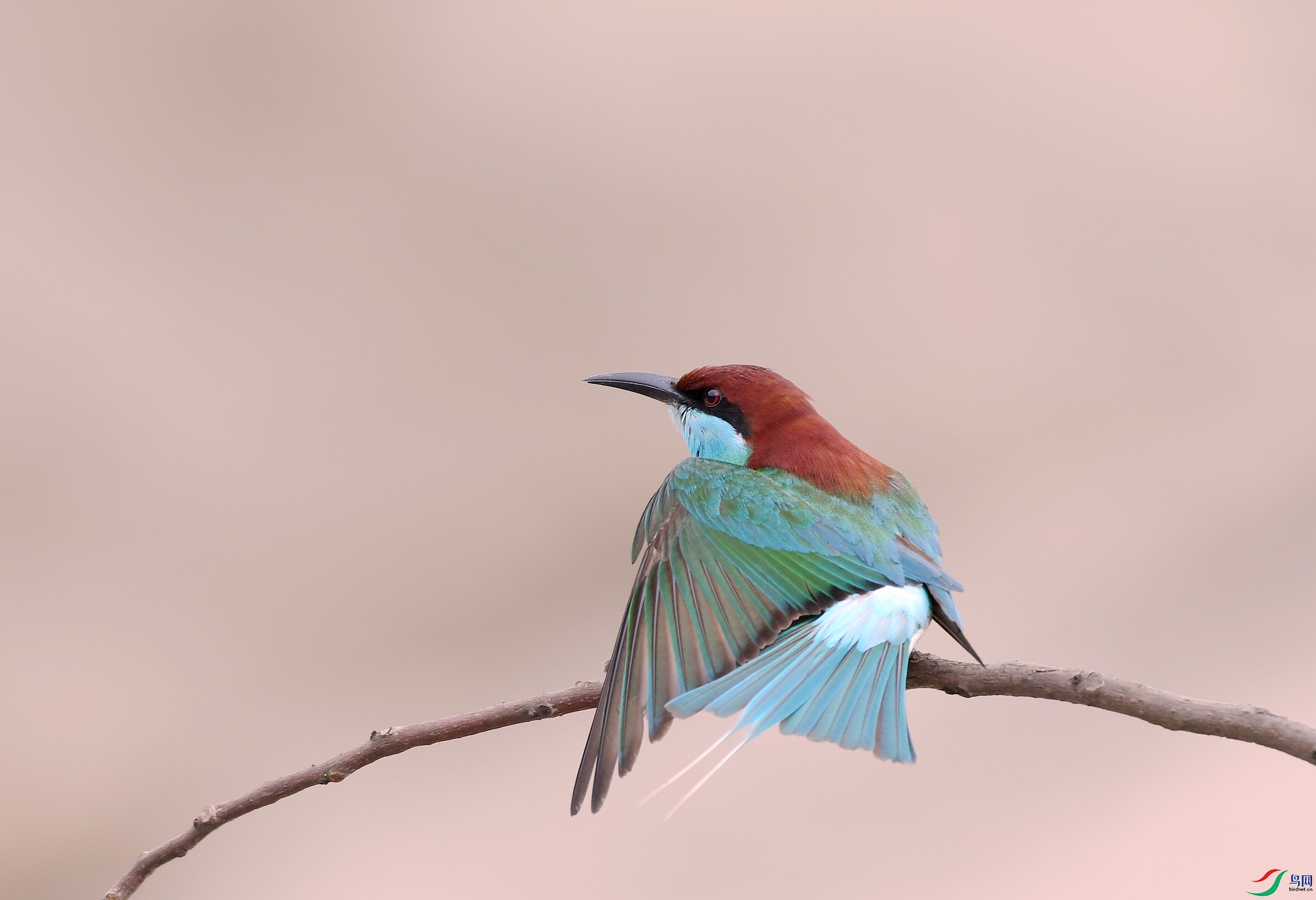 DSC_7098.jpg