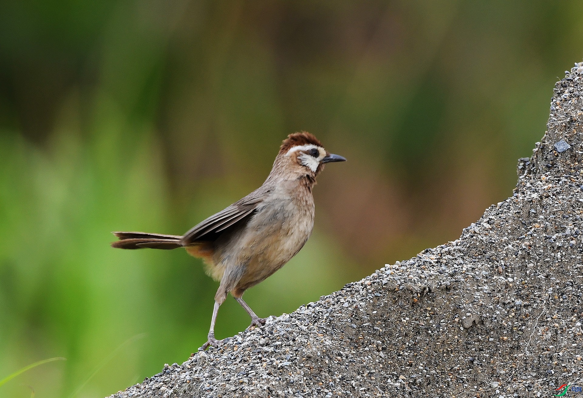 DSC_4267.jpg