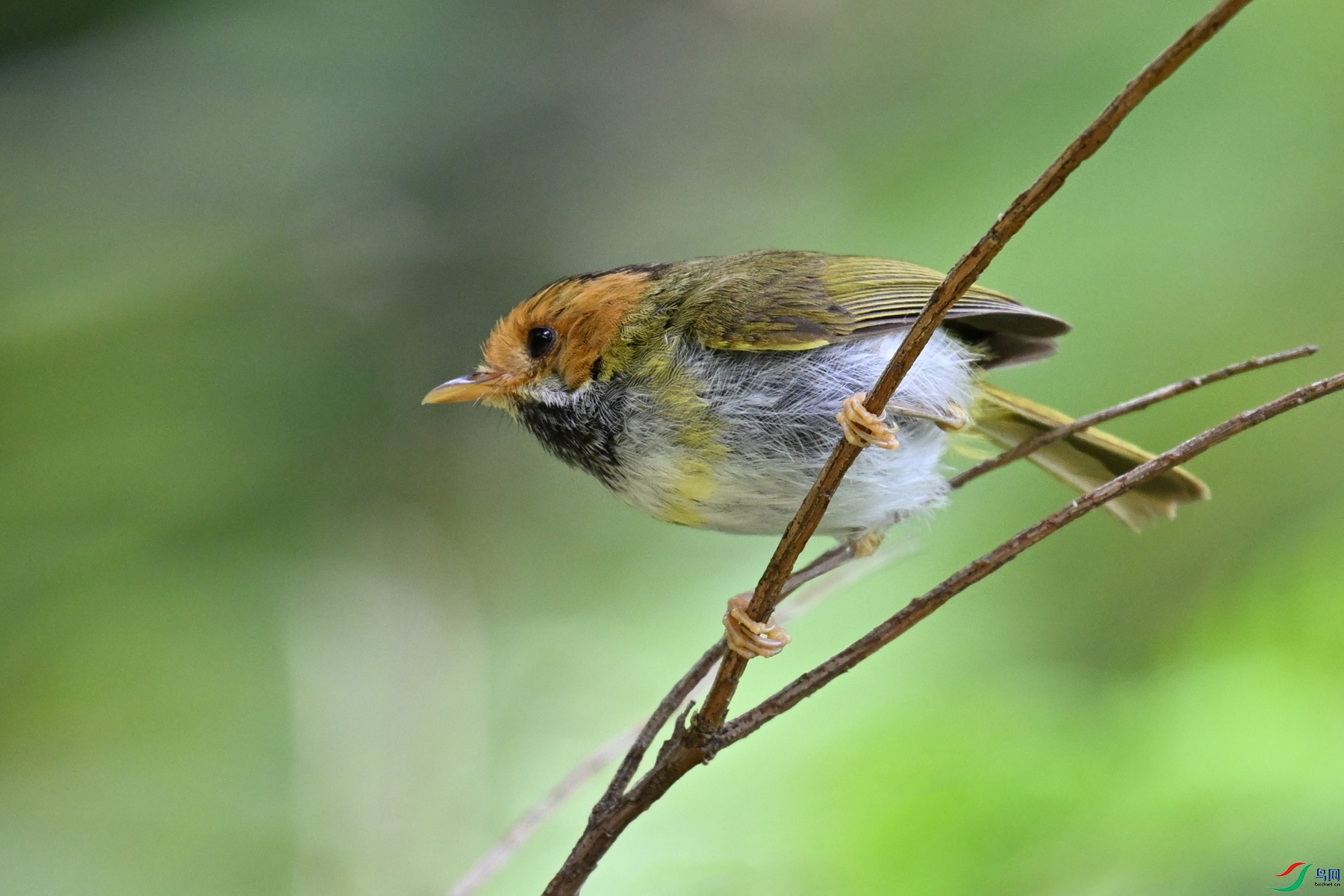 DSC_2206.JPG