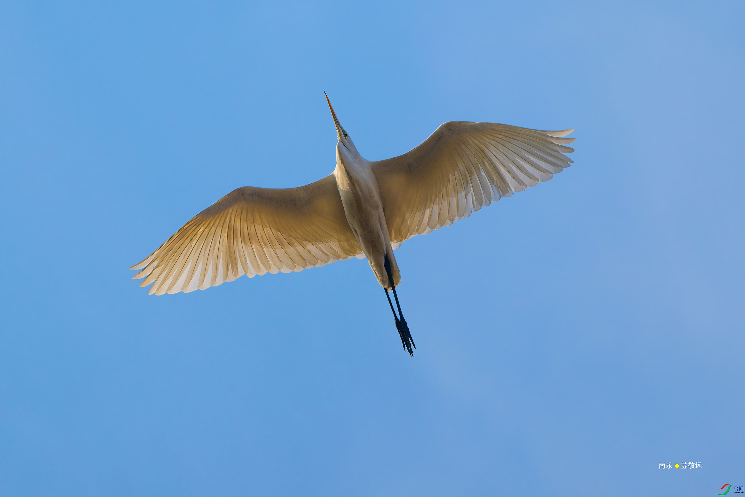 _DSC2550-DxO_С.jpg