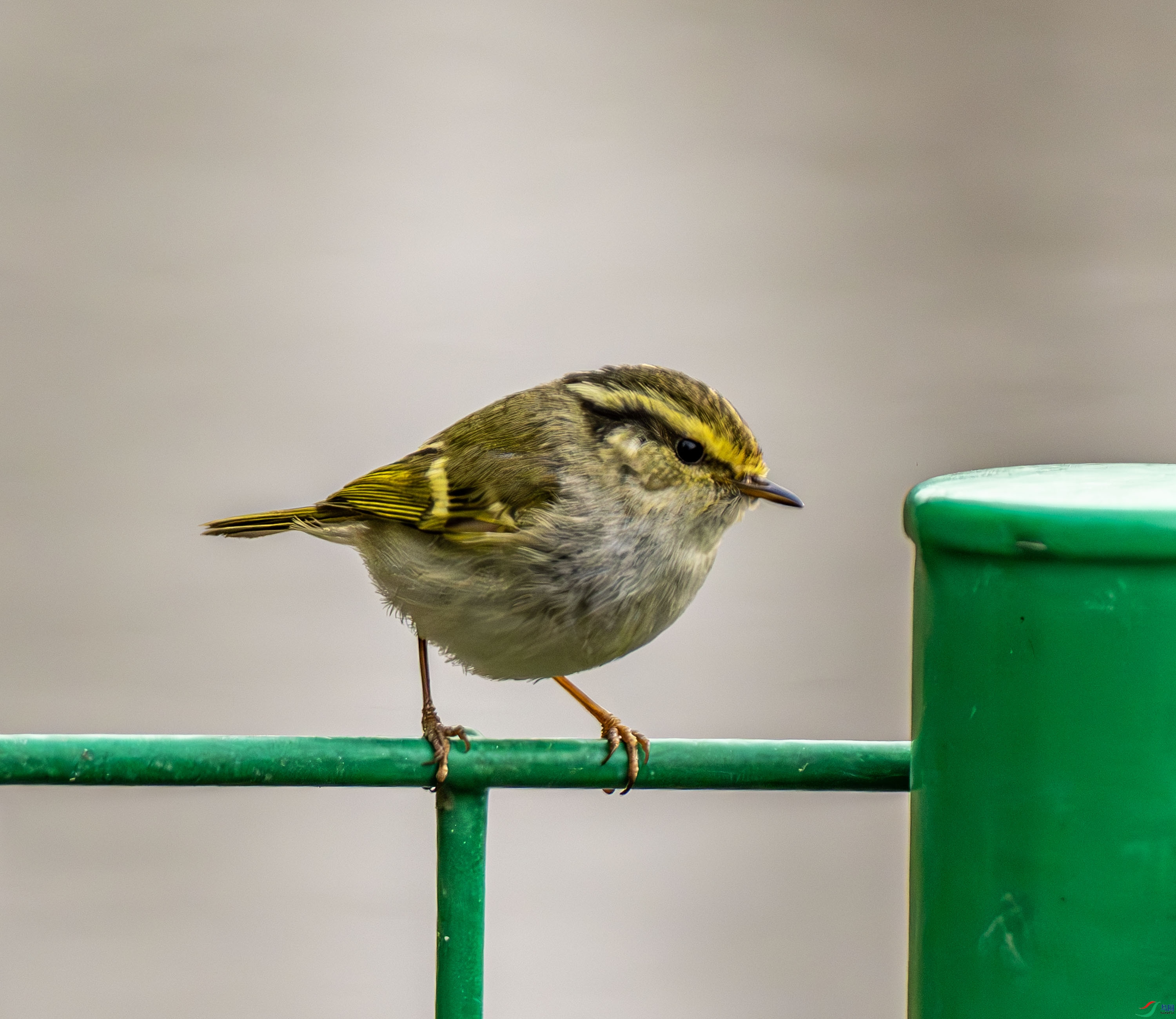 ������ݺ-01 (7 - 7).jpg