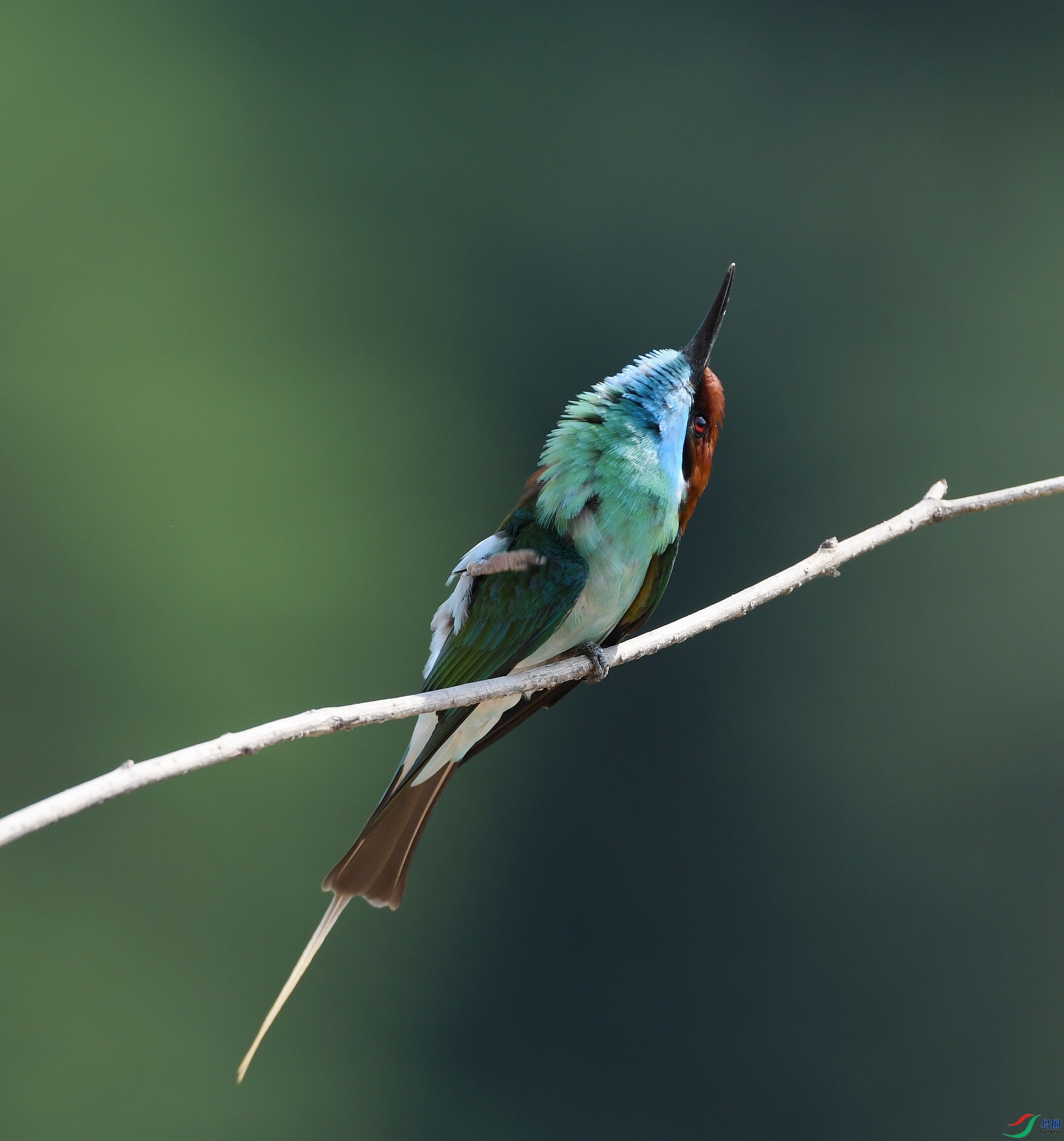 DSC_1475.jpg
