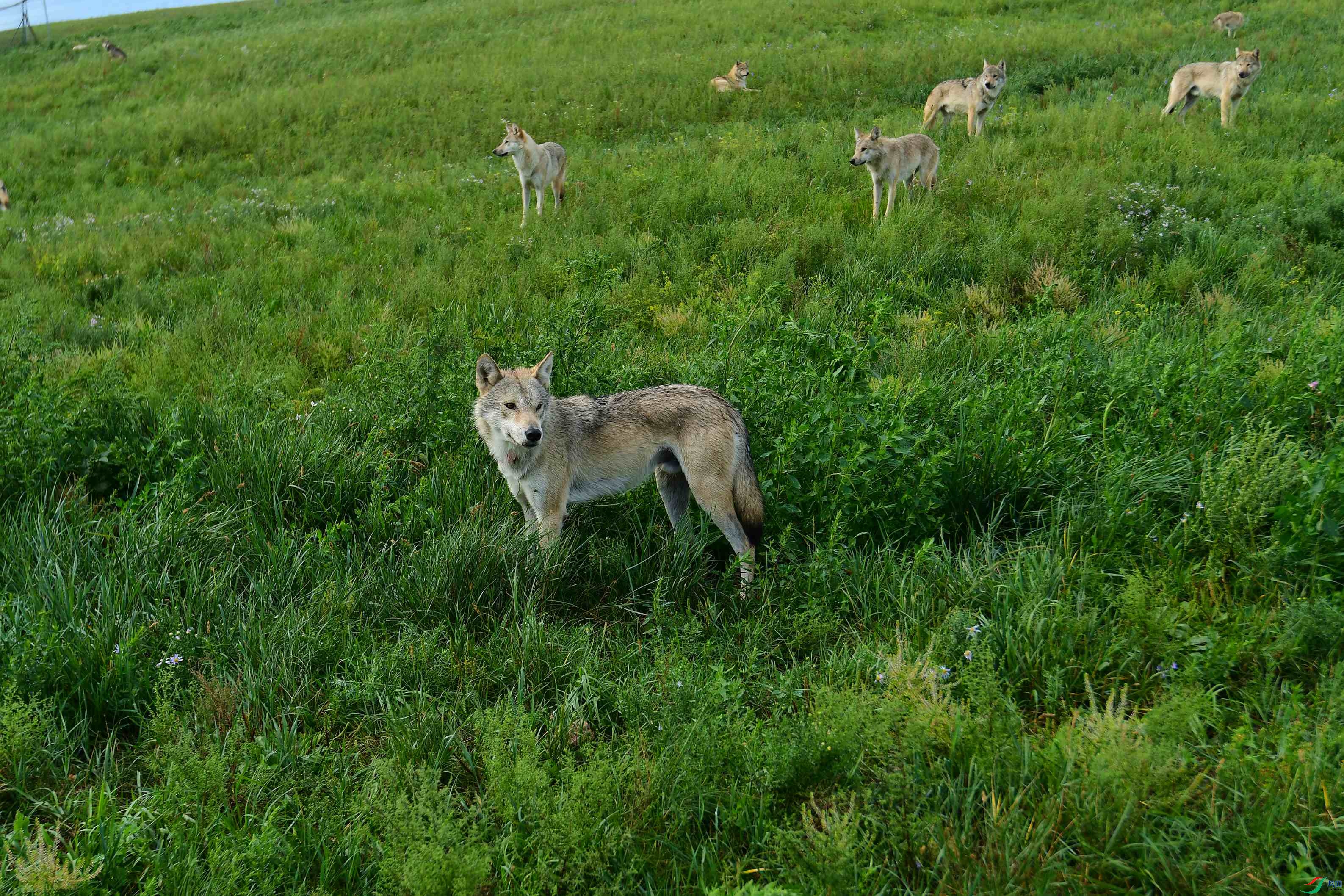 DSC_1157.JPG