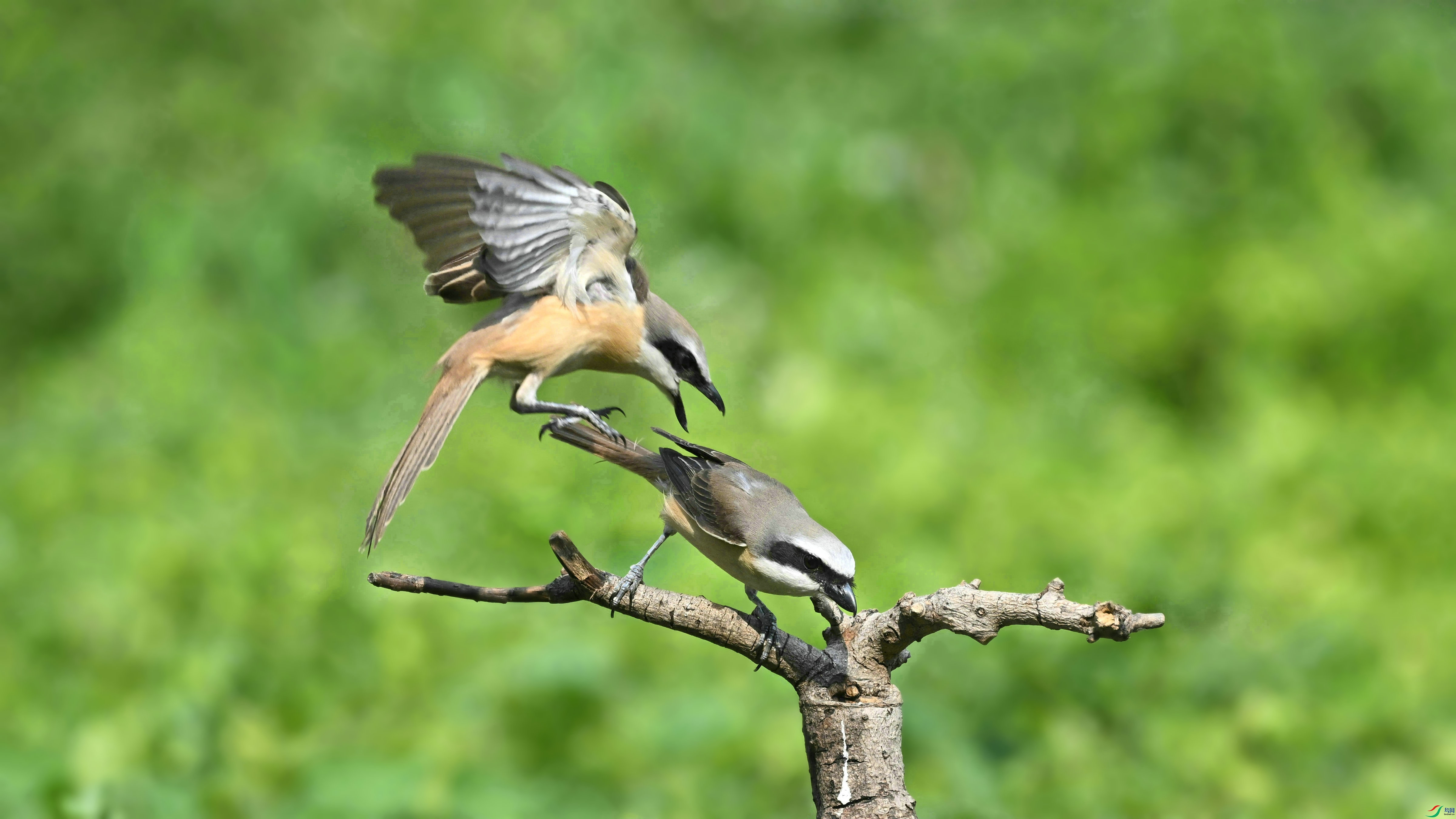 DSC_5601.JPG