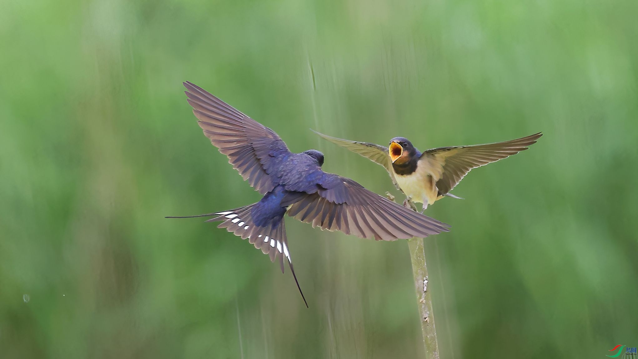 4R6A1076-SharpenAI-Focus.jpg