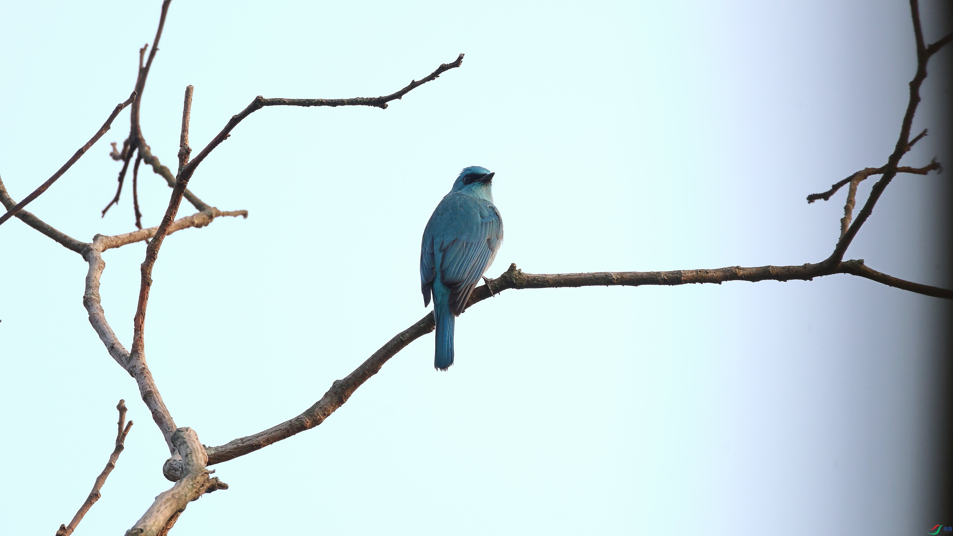 IMG_4697.JPG