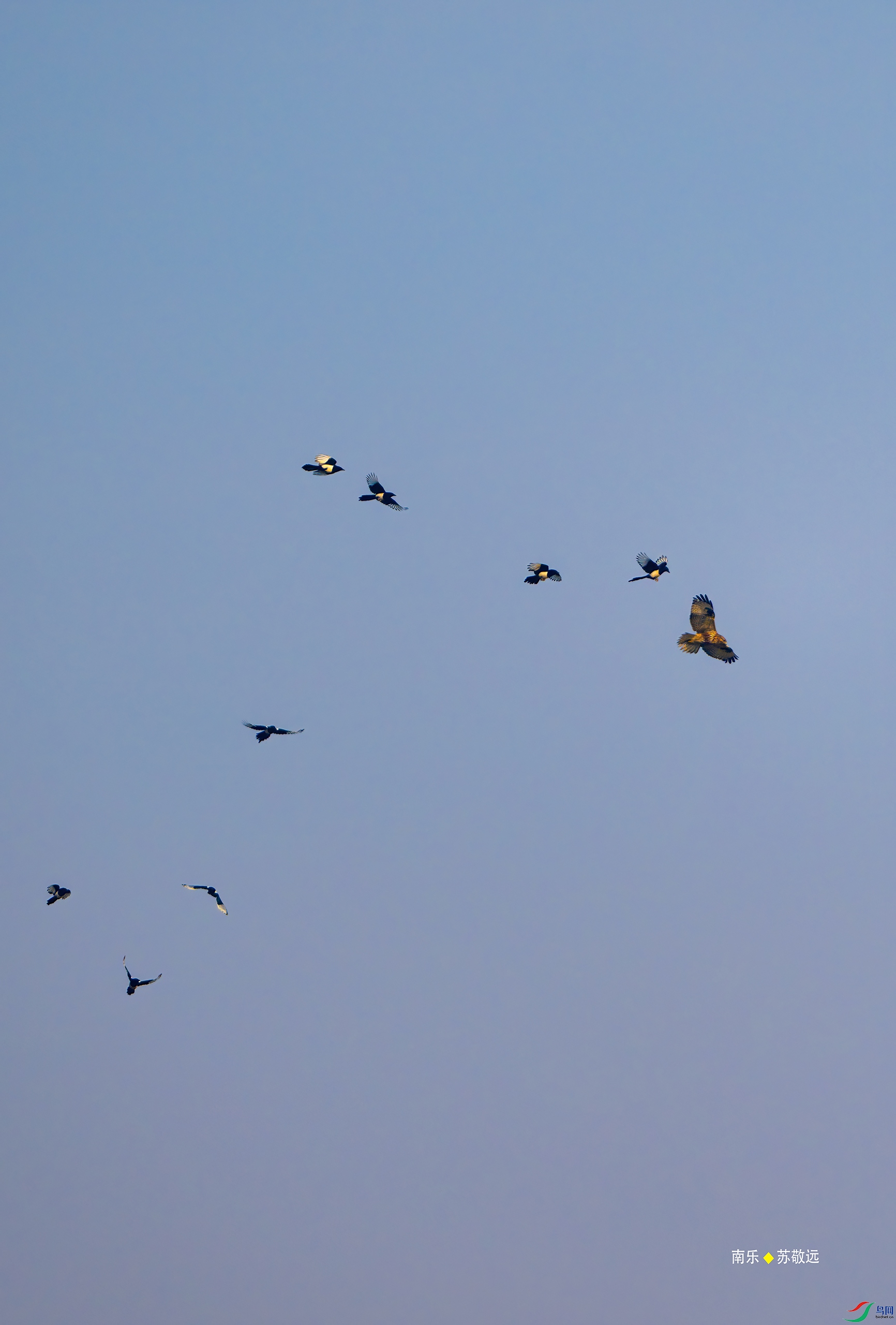 _DSC2487-DxO_С.jpg