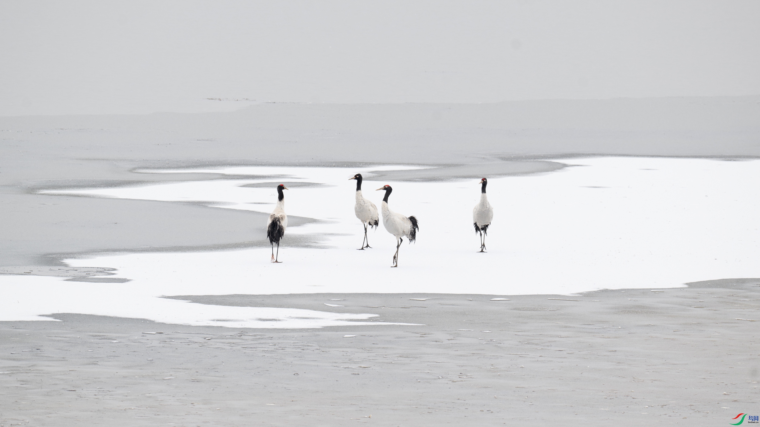 DSC_0440.jpg