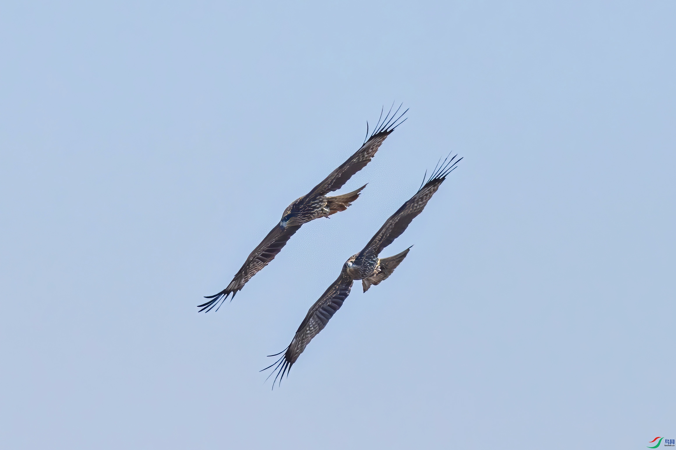 _C6A5218ccx.jpg