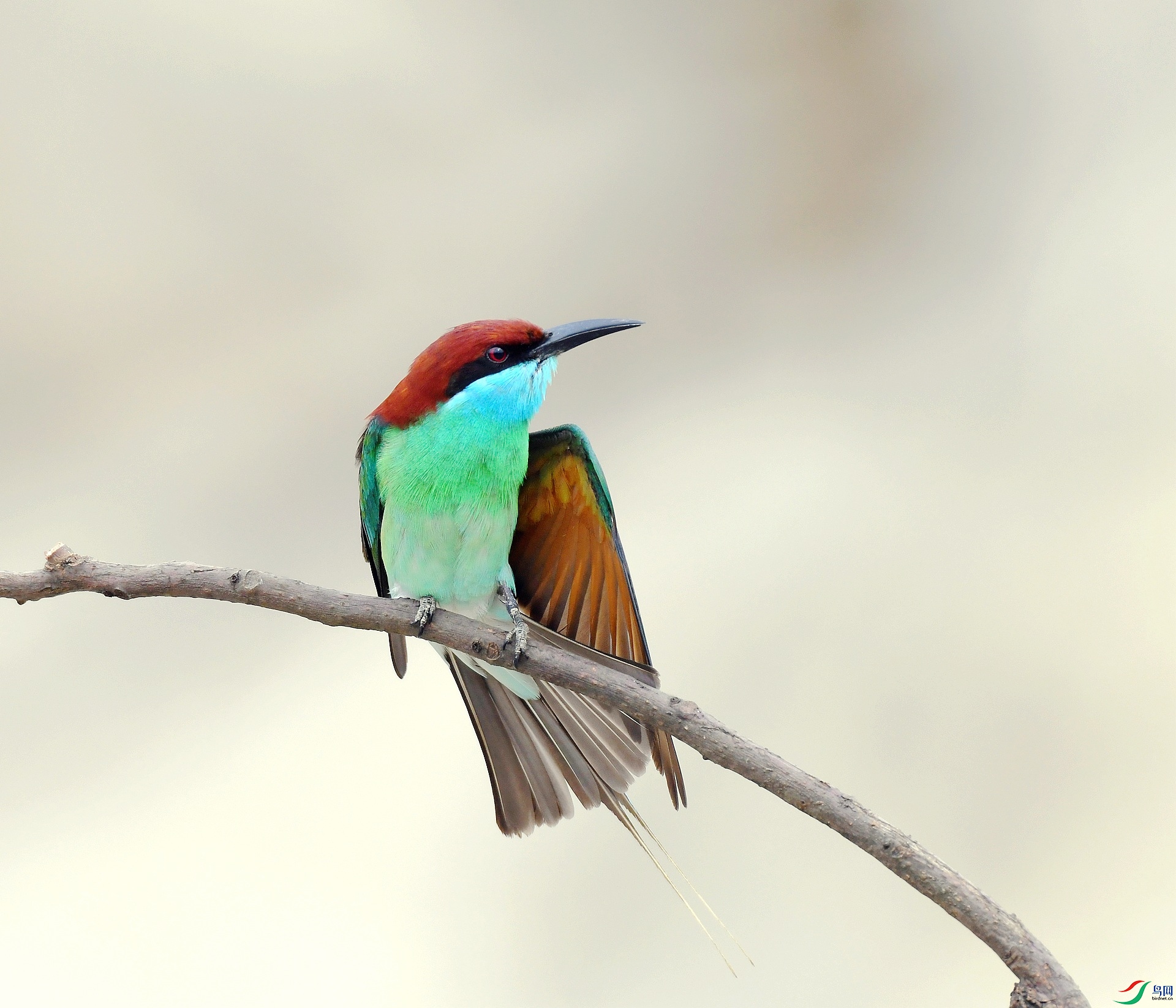 DSC_6983.jpg