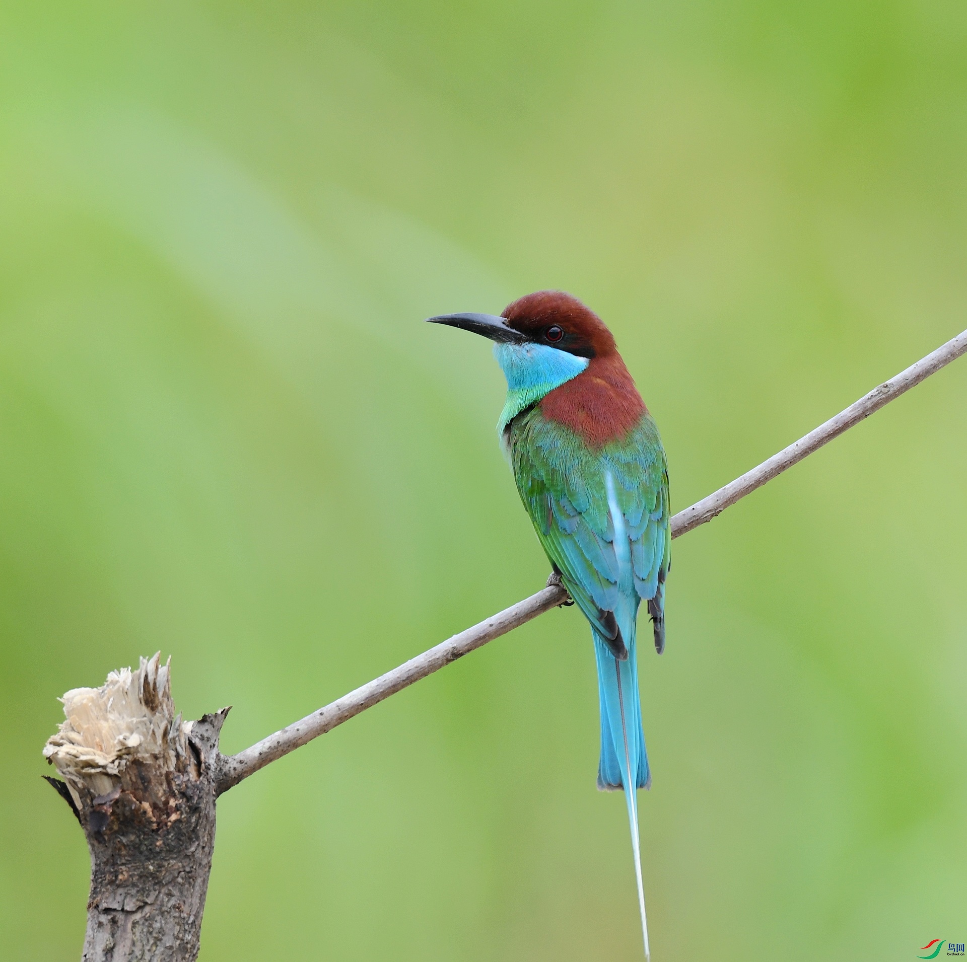 DSC_6819.jpg
