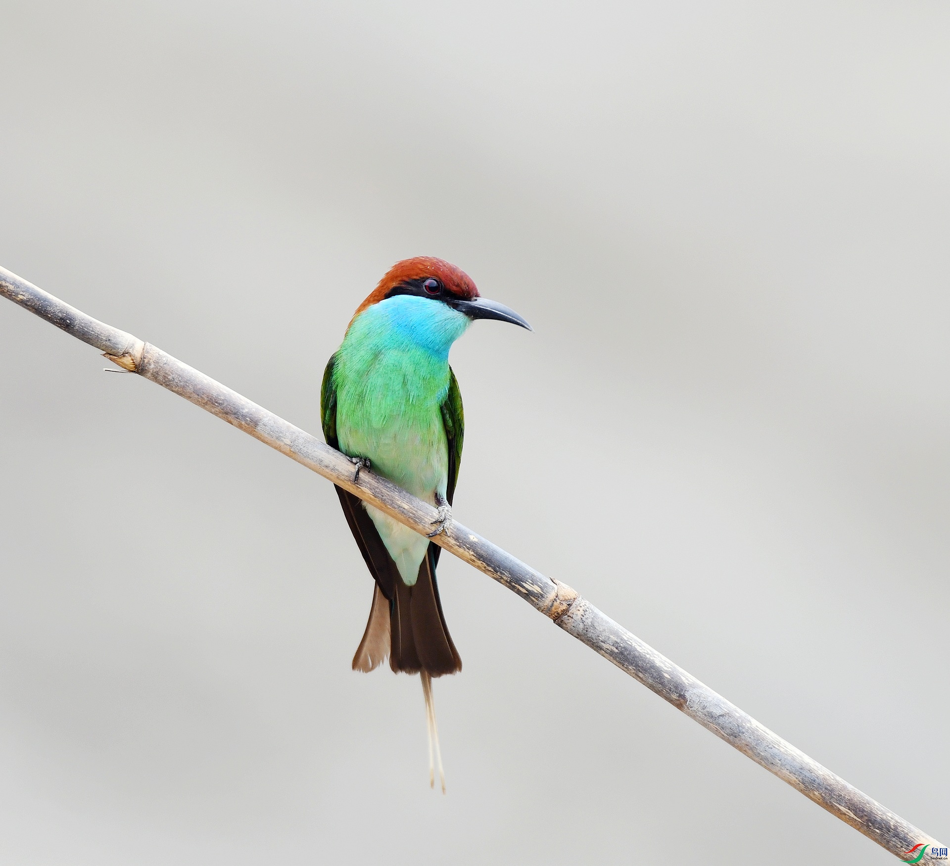 DSC_6848.jpg
