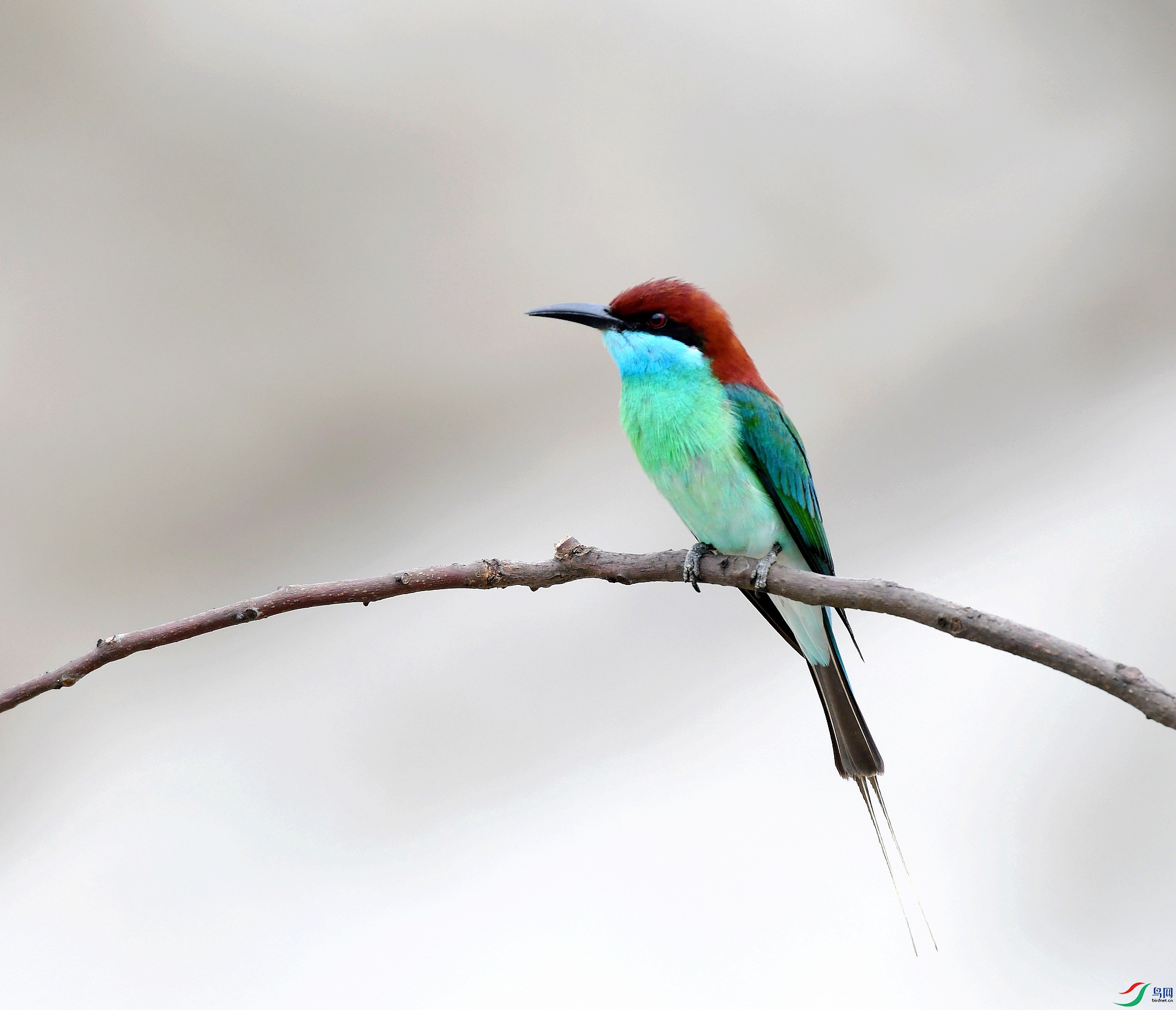 DSC_6923.jpg