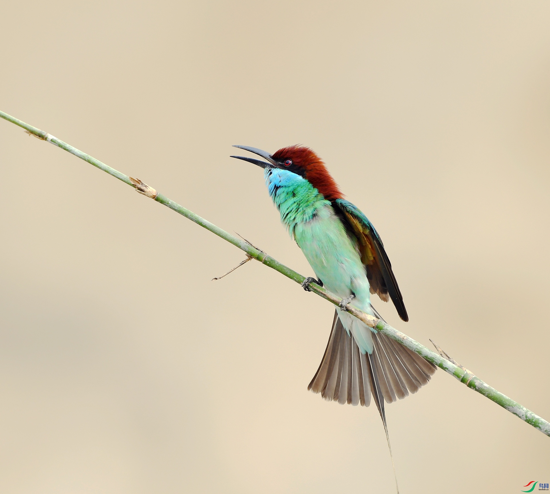DSC_5837.jpg