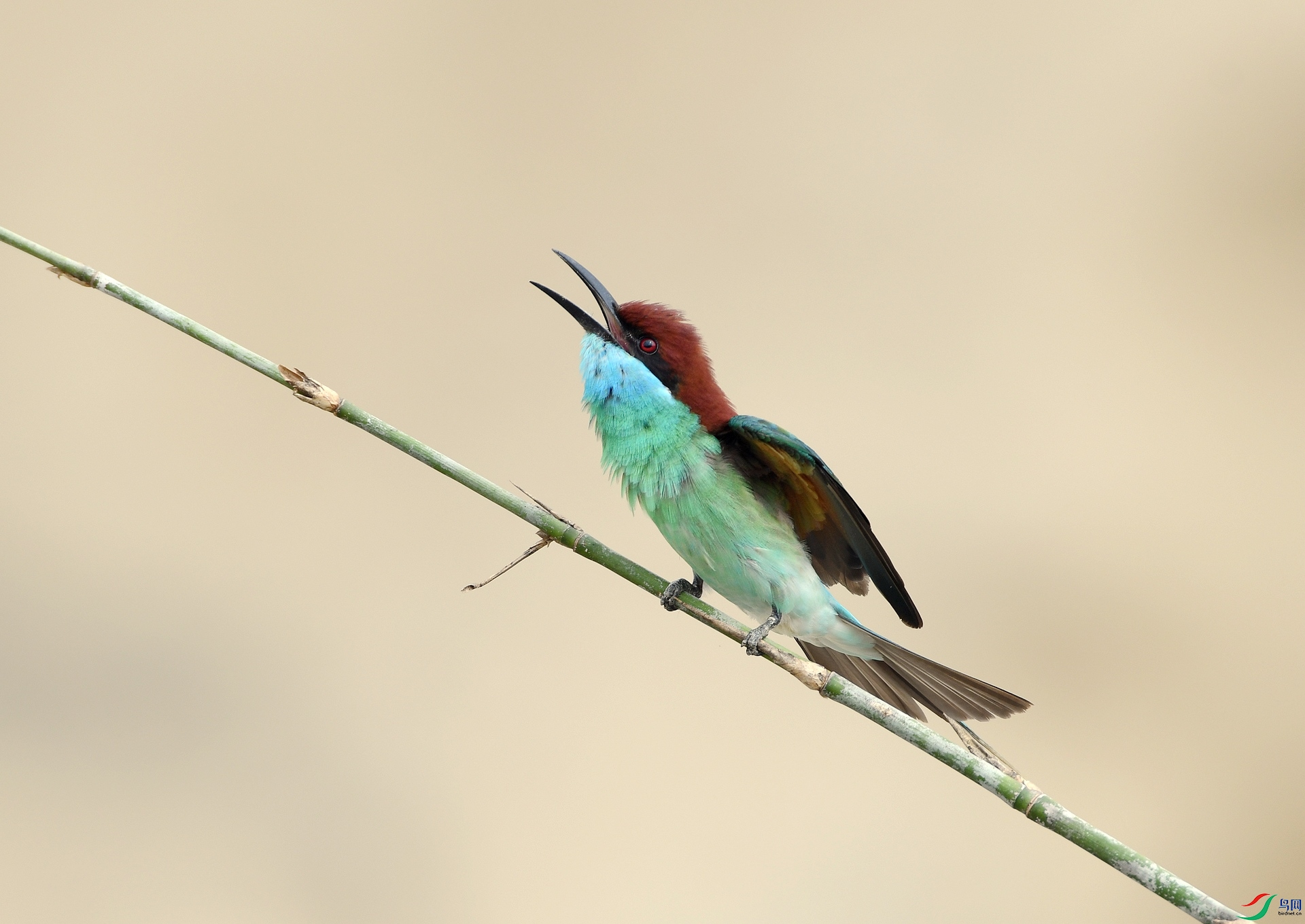 DSC_5836.jpg