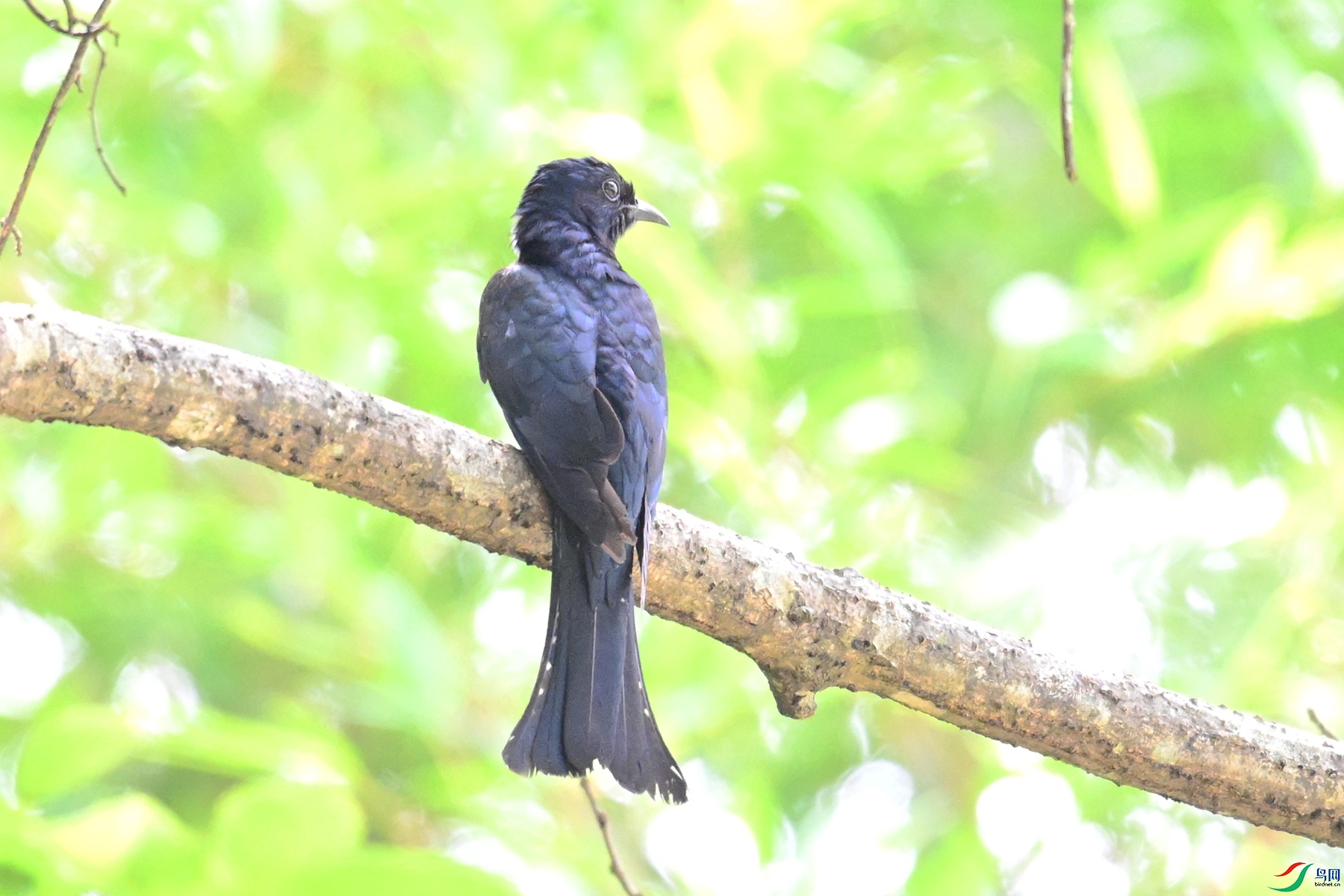 DSC_0909.JPG