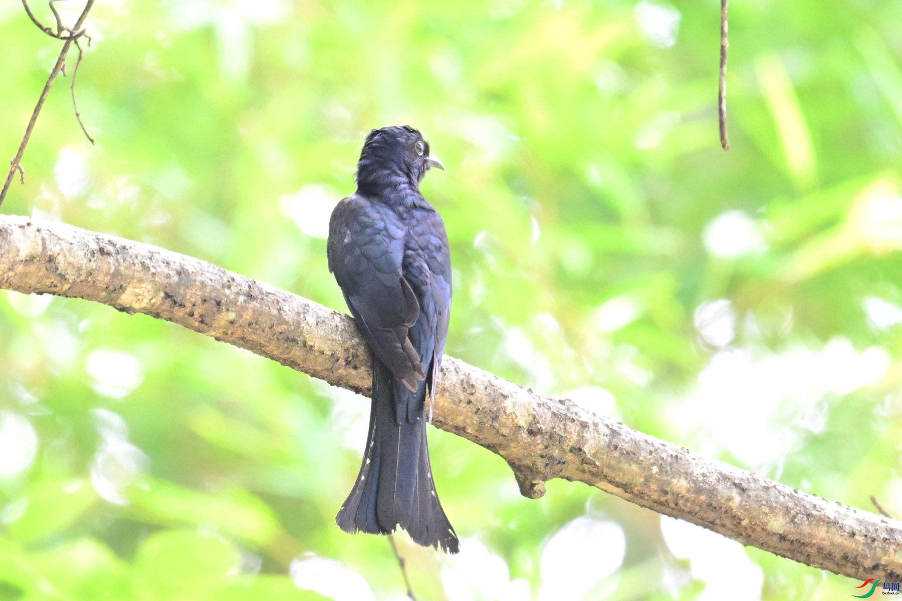 DSC_0913.JPG