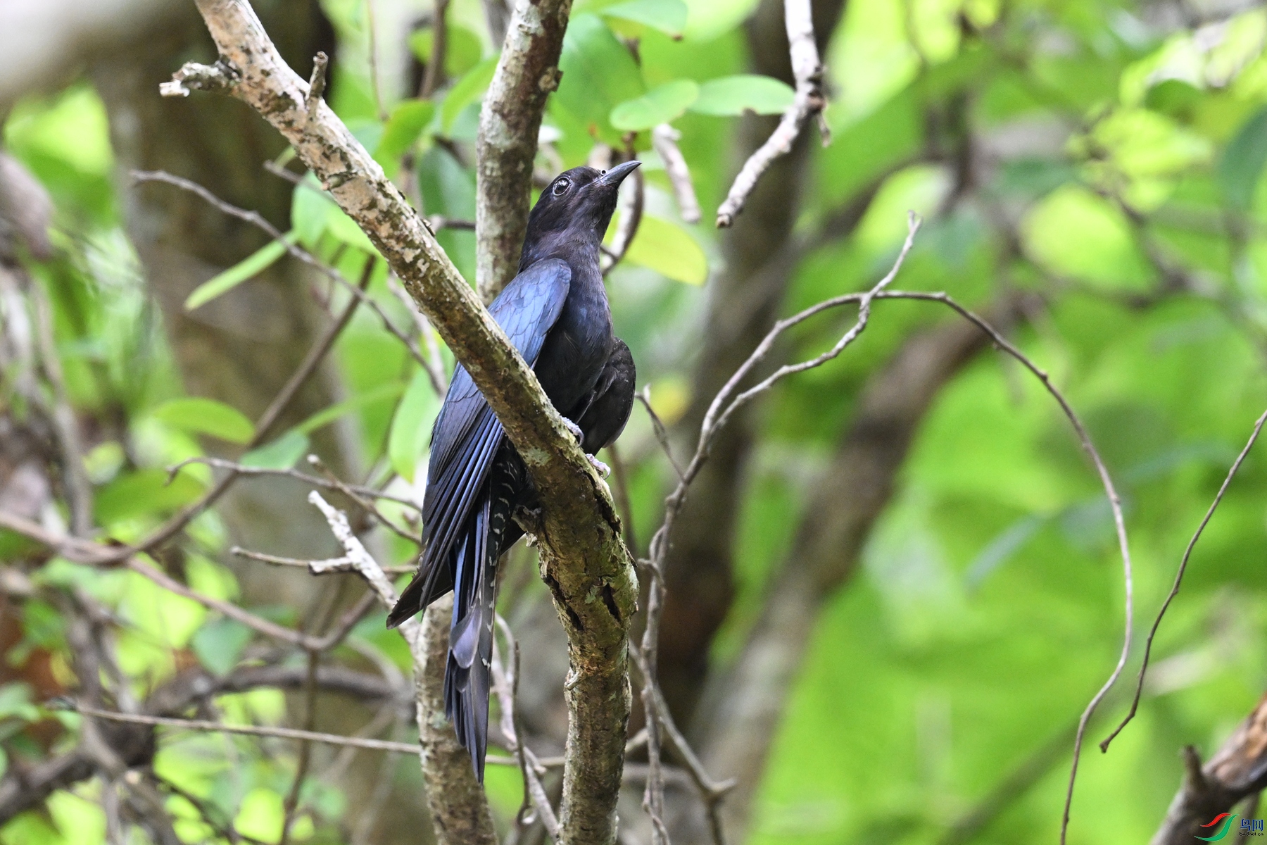 DSC_0963.JPG