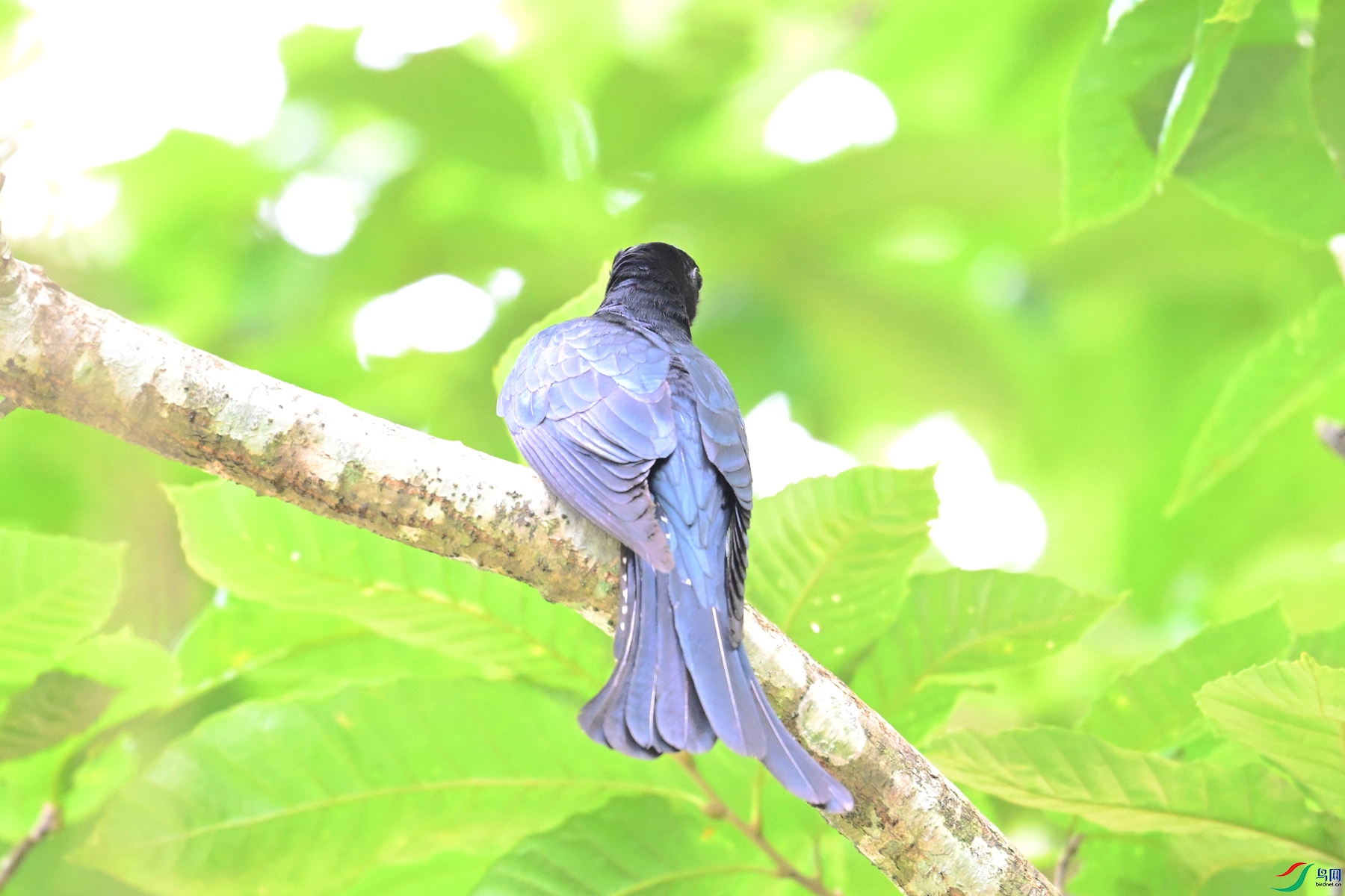 DSC_0970.JPG