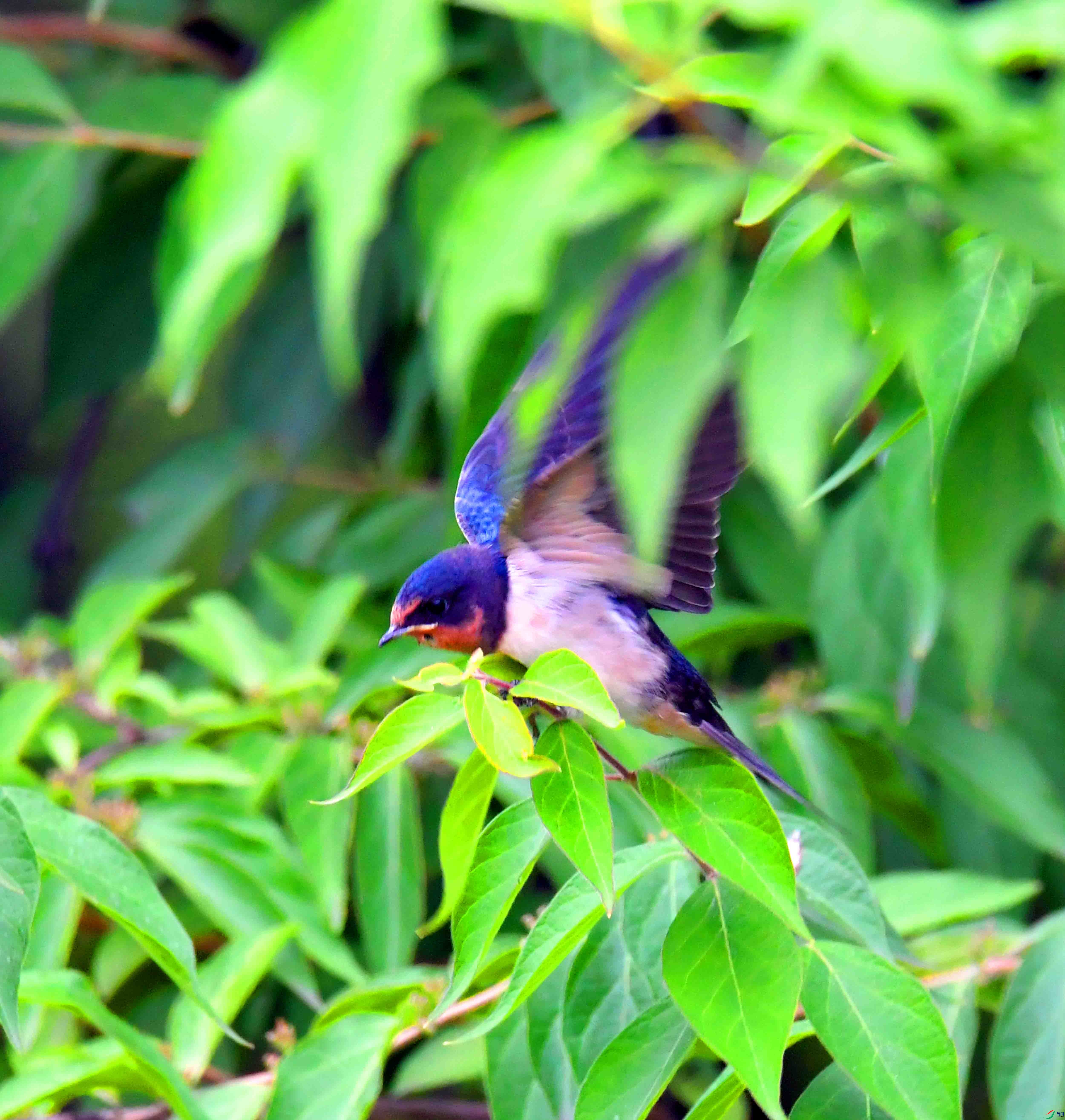 DSC_0347.JPG