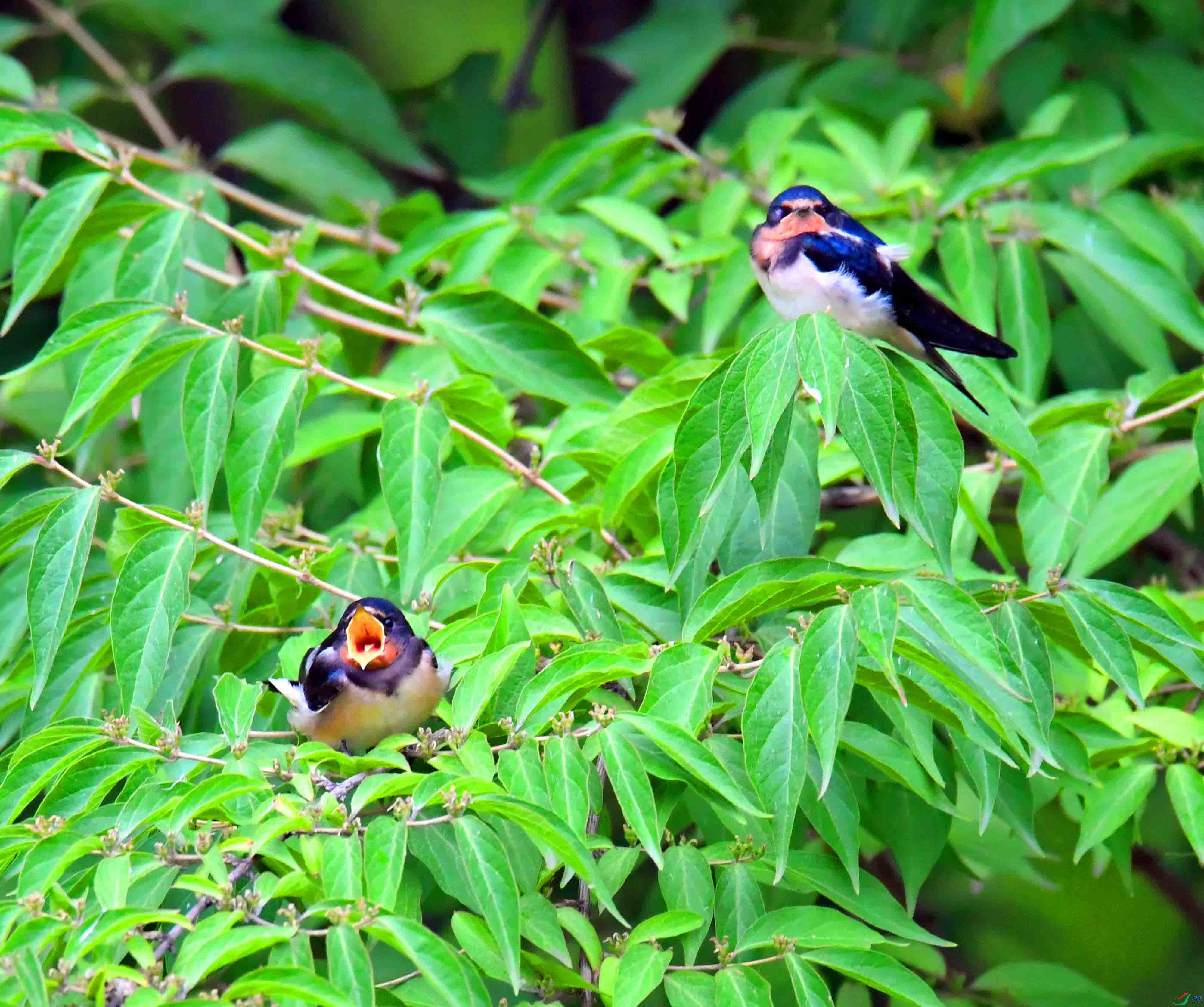 DSC_0368.JPG