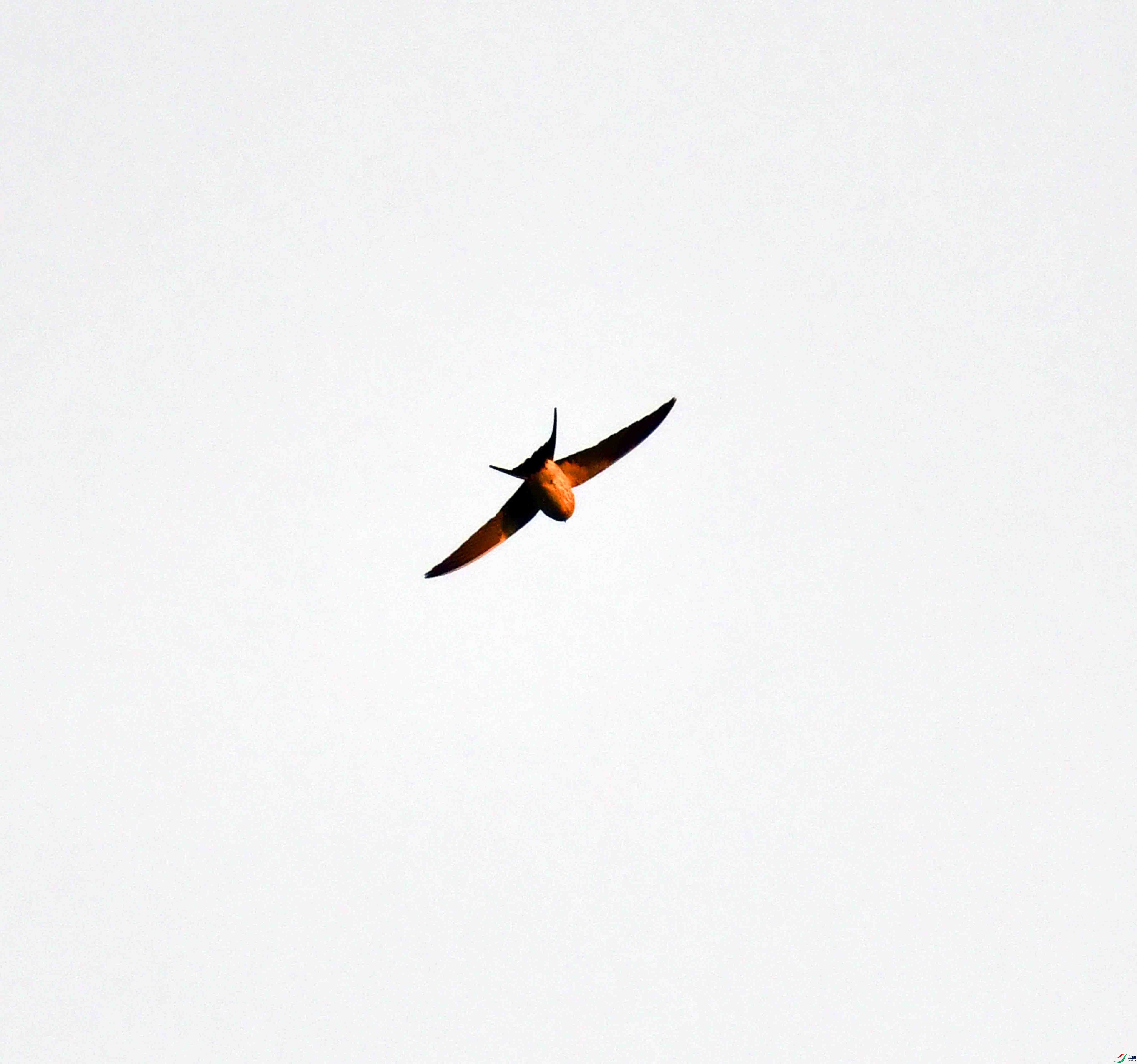 DSC_3900.JPG