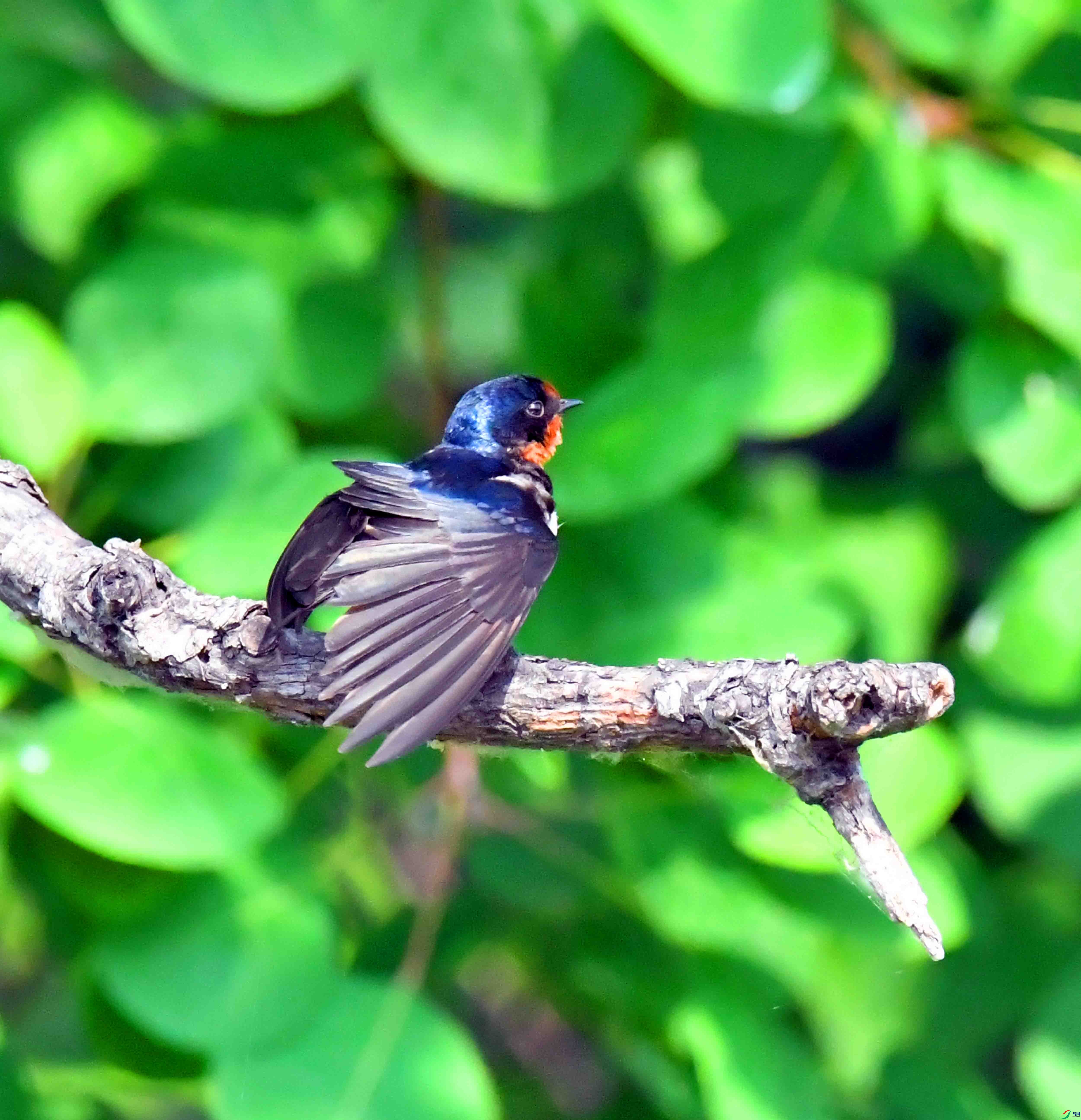 DSC_9557.JPG