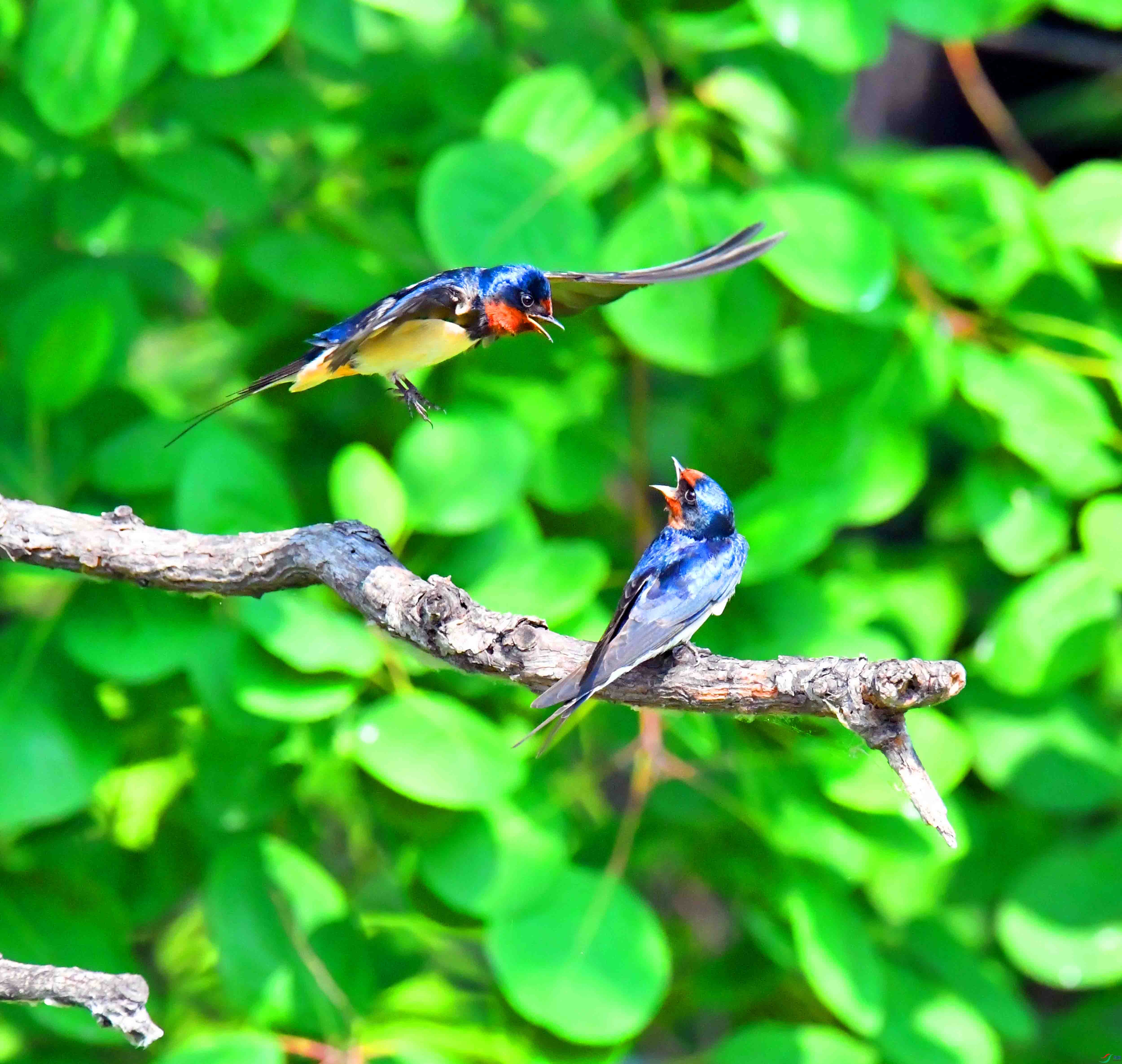 DSC_9572.JPG