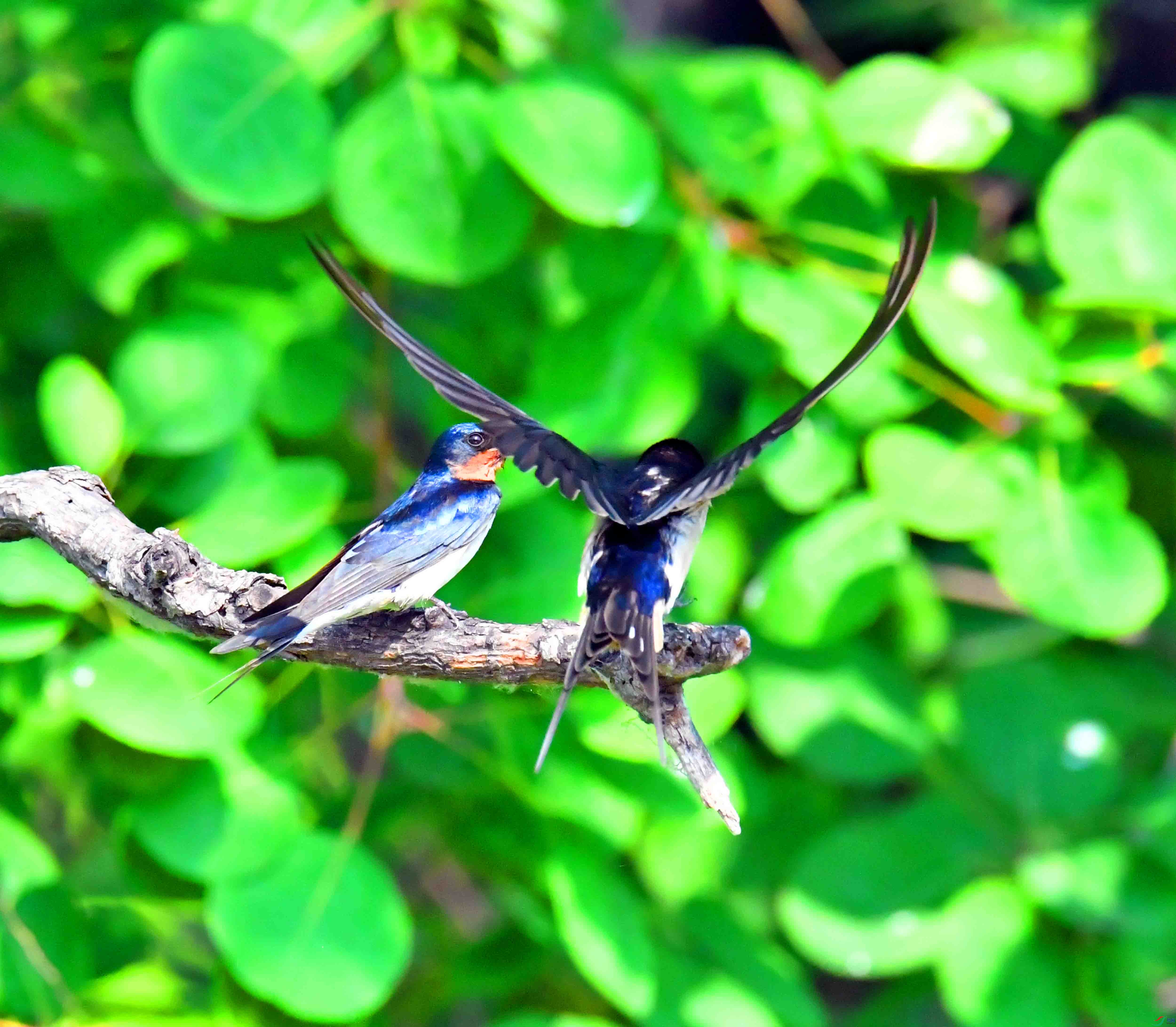 DSC_9576.JPG