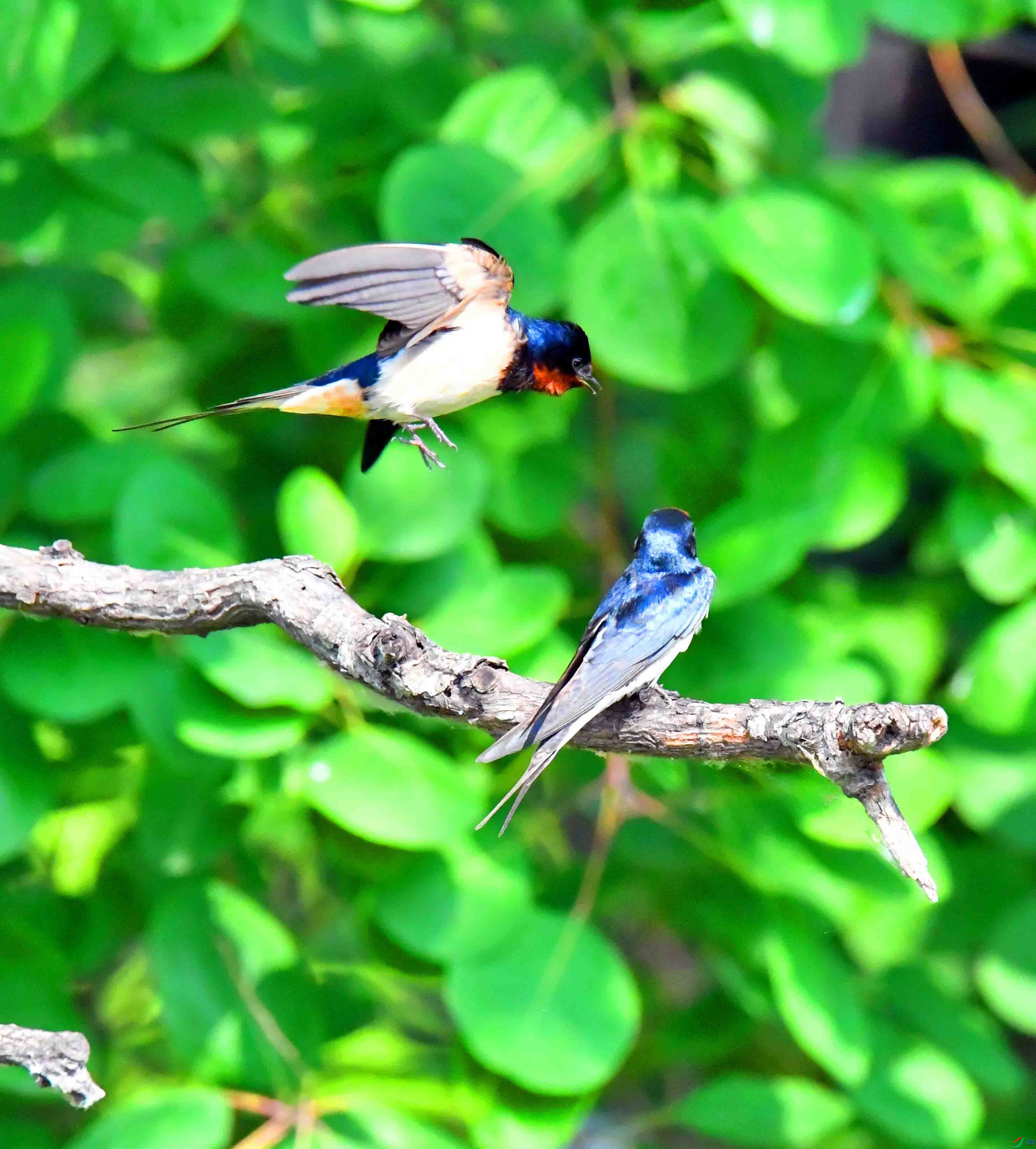 DSC_9574.JPG