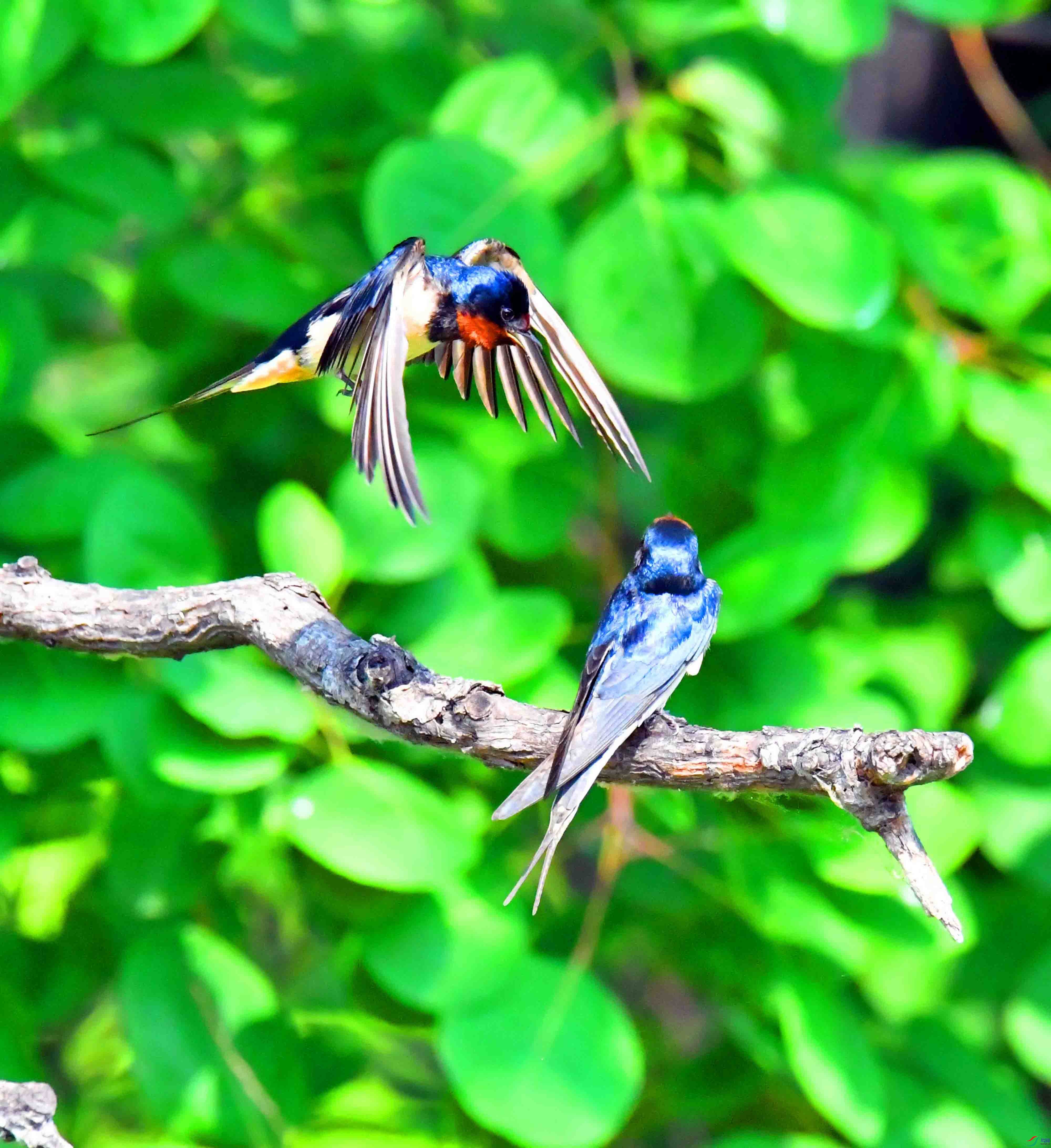 DSC_9573.JPG