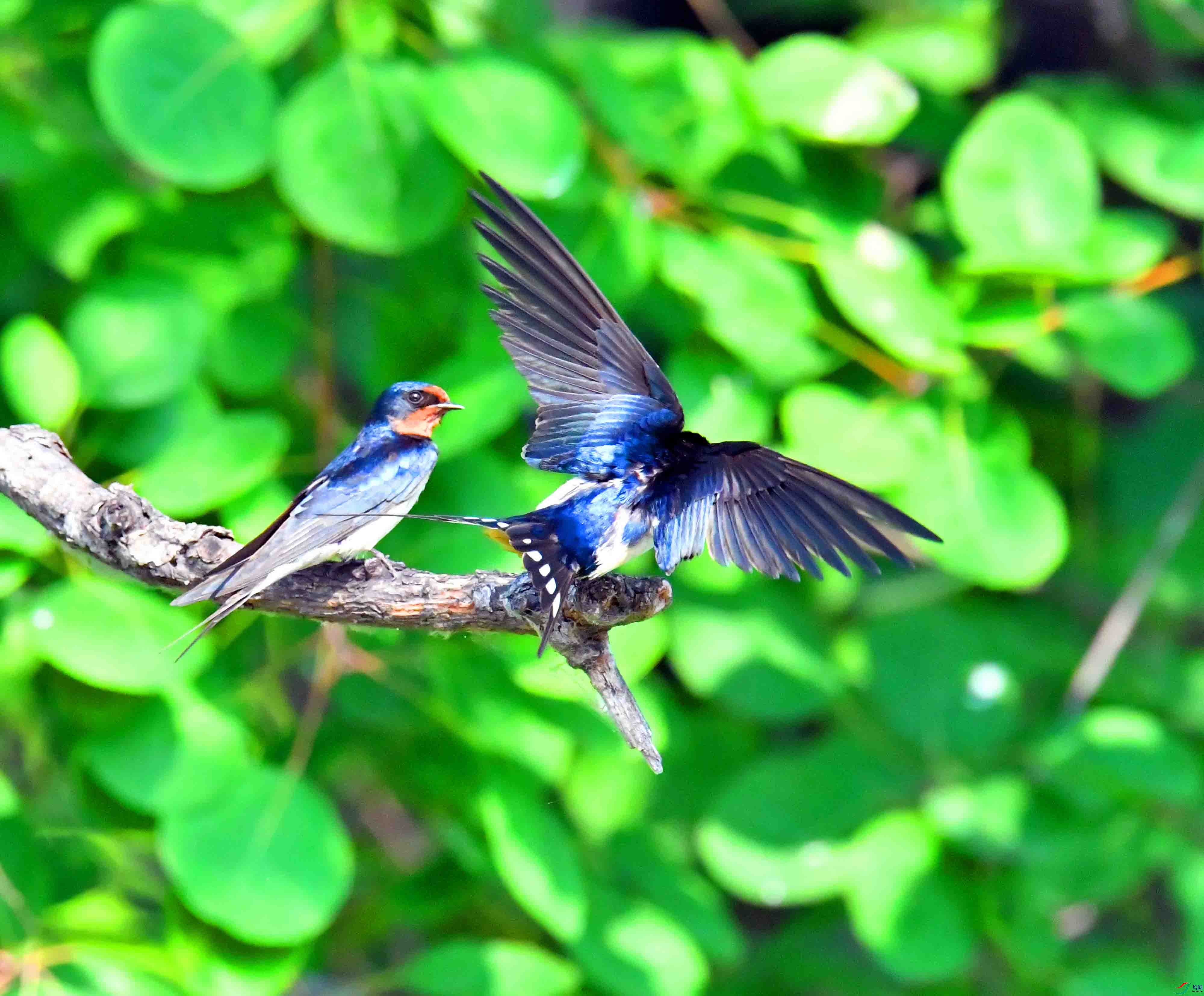 DSC_9577.JPG