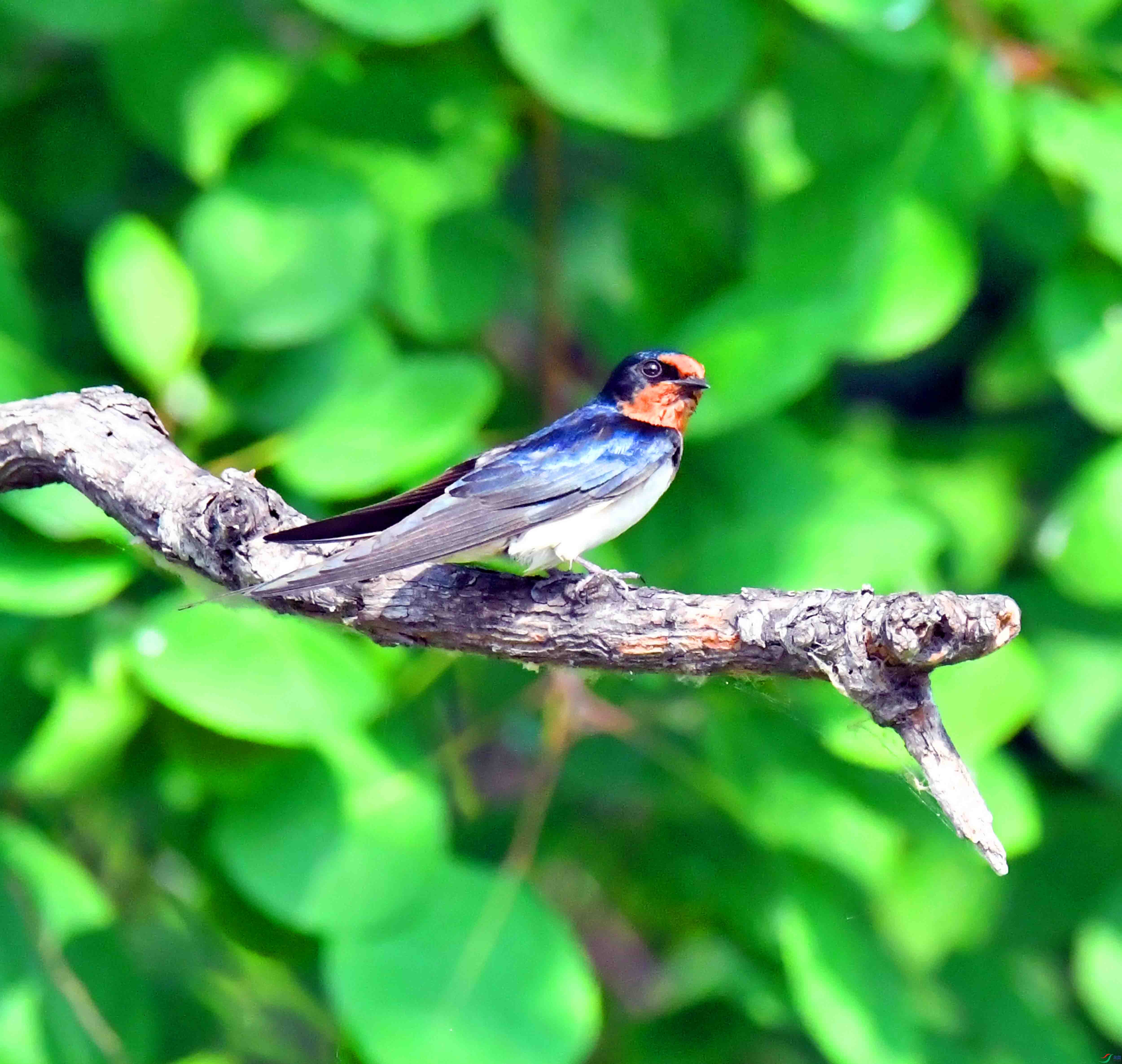 DSC_9578.JPG