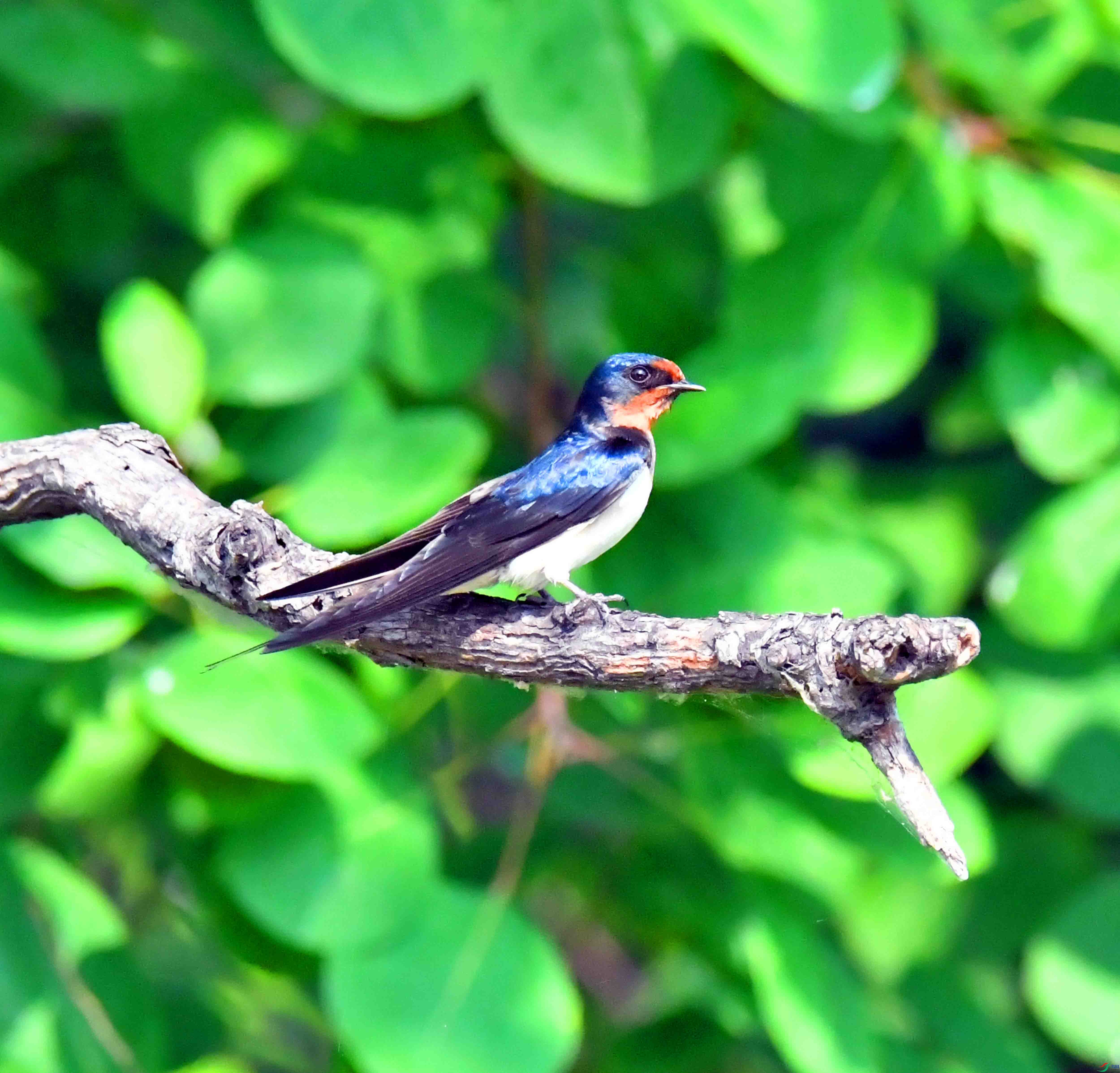 DSC_9586.JPG