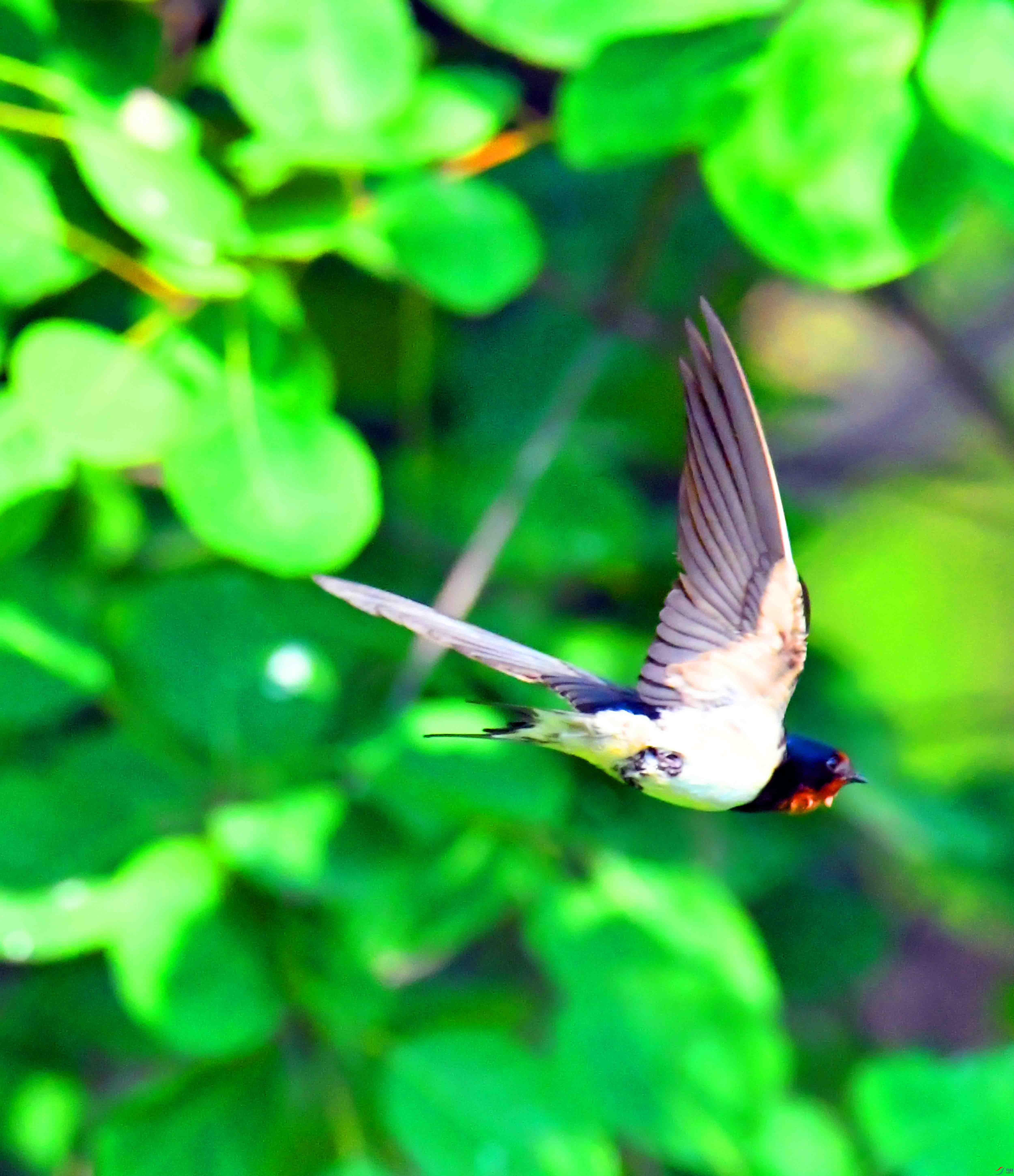 DSC_9592.JPG