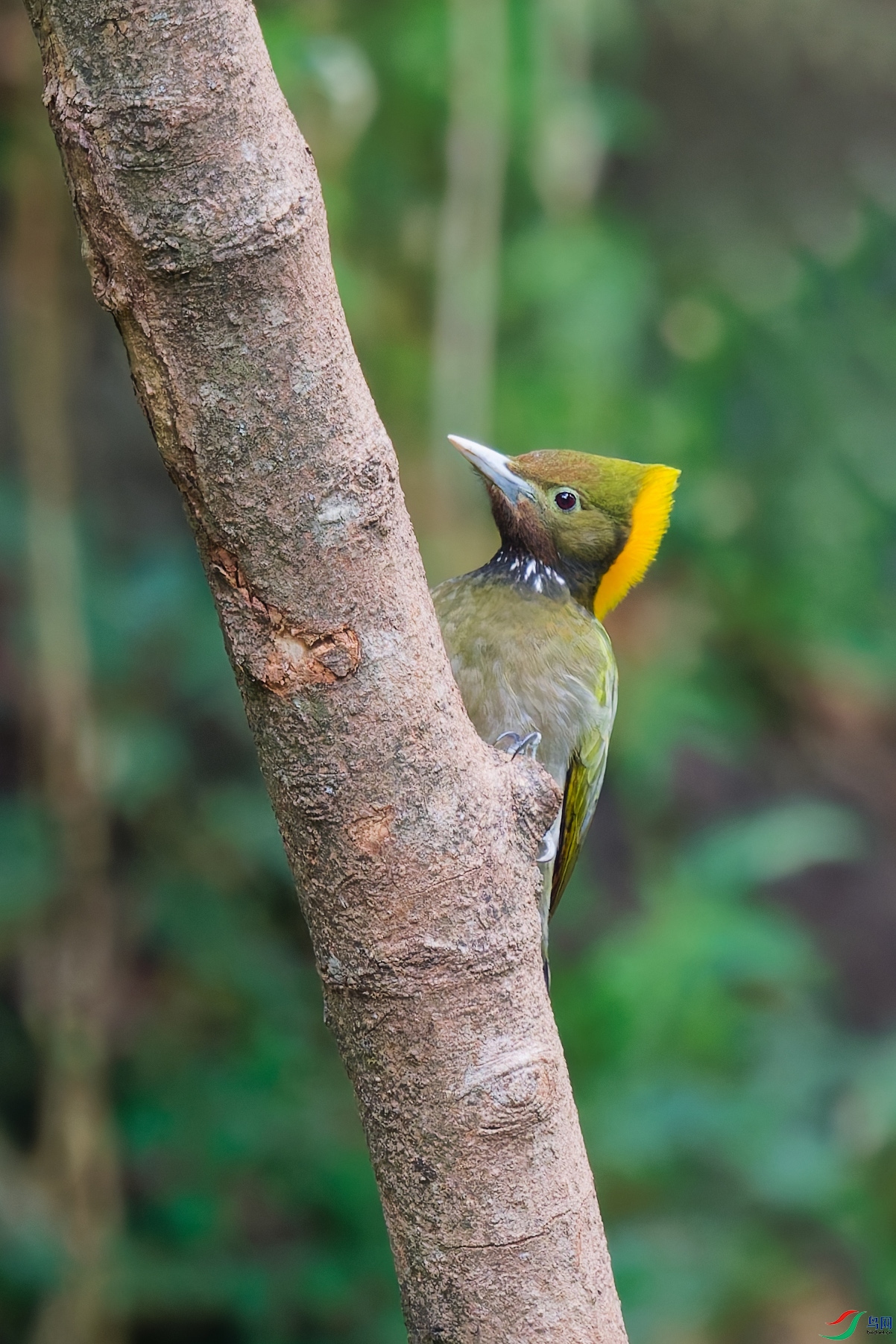 DSC_8884_DxO_DxOa.jpg