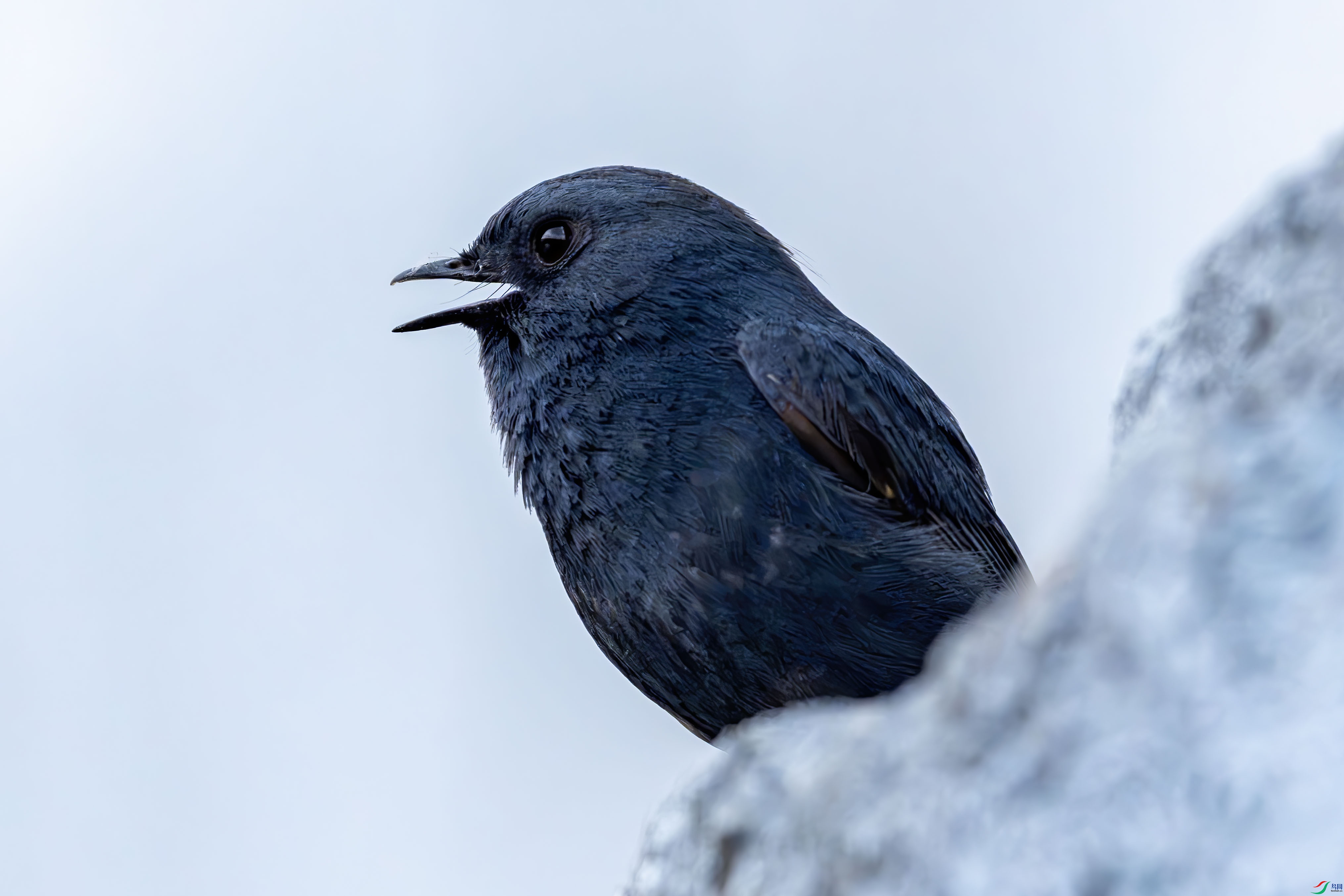 A1M00550 ����2.jpg