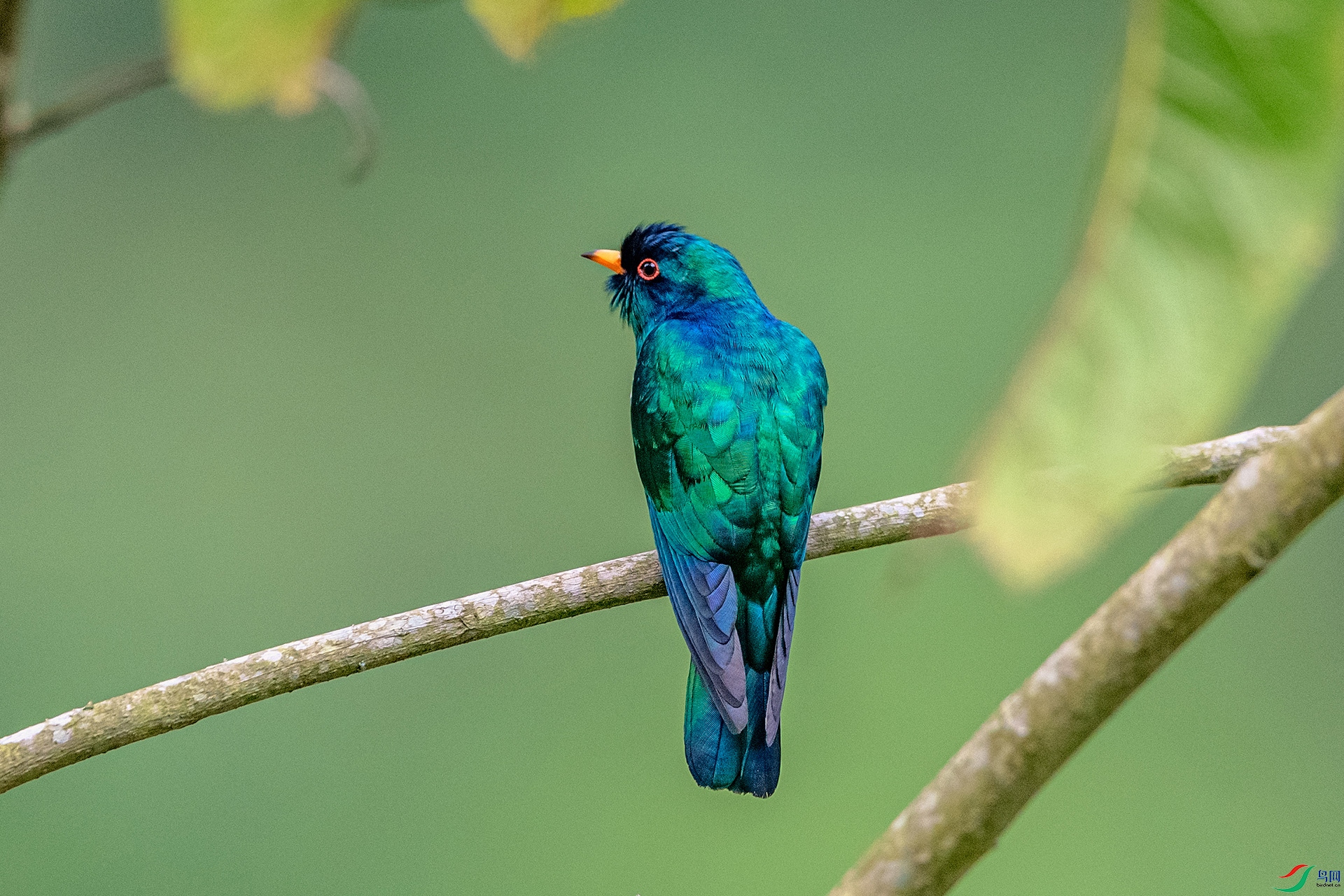 _AUU5019 ����(26.4.28).jpg