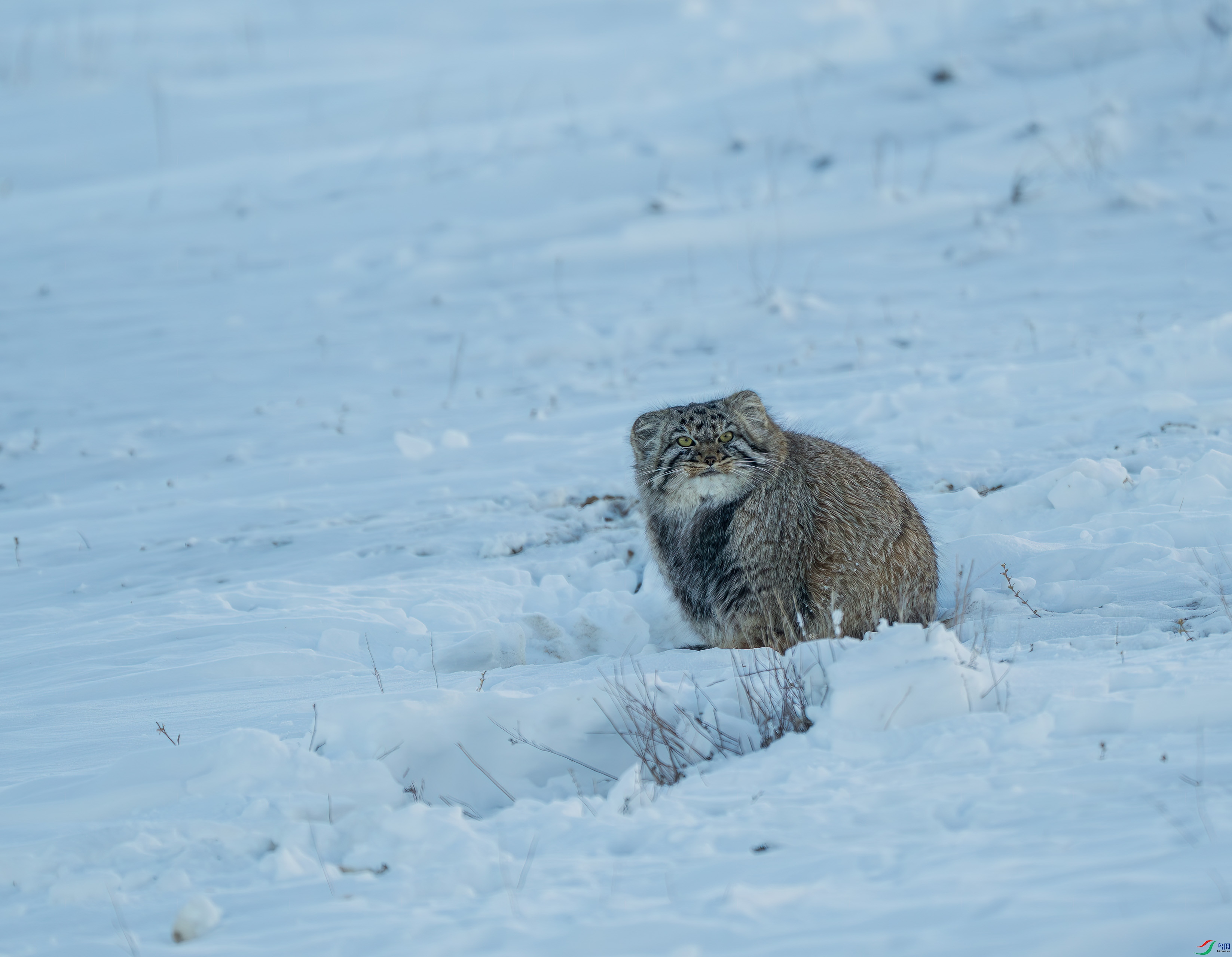 DSC_3988.jpg