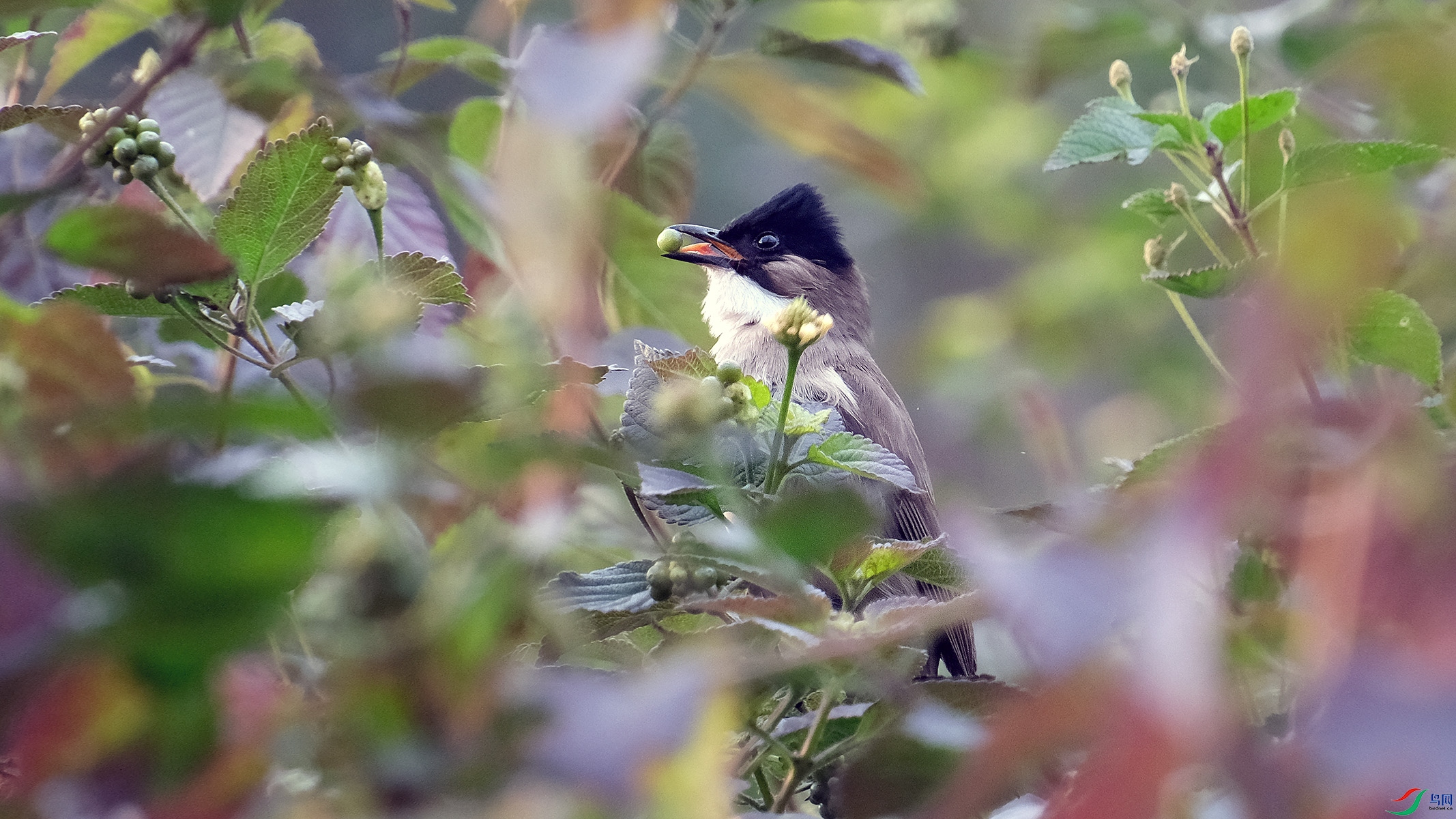 DSCF4429����.jpg