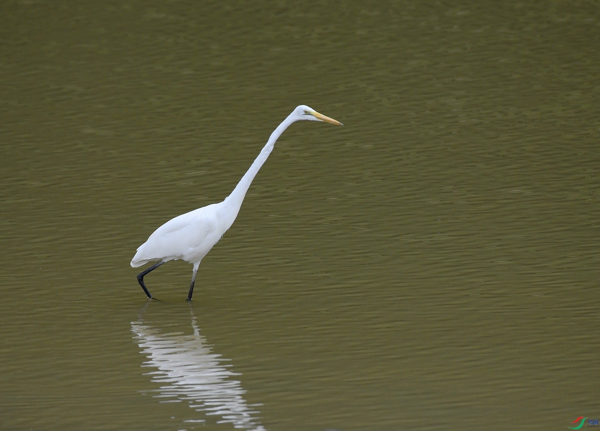 DSC_4875.jpg