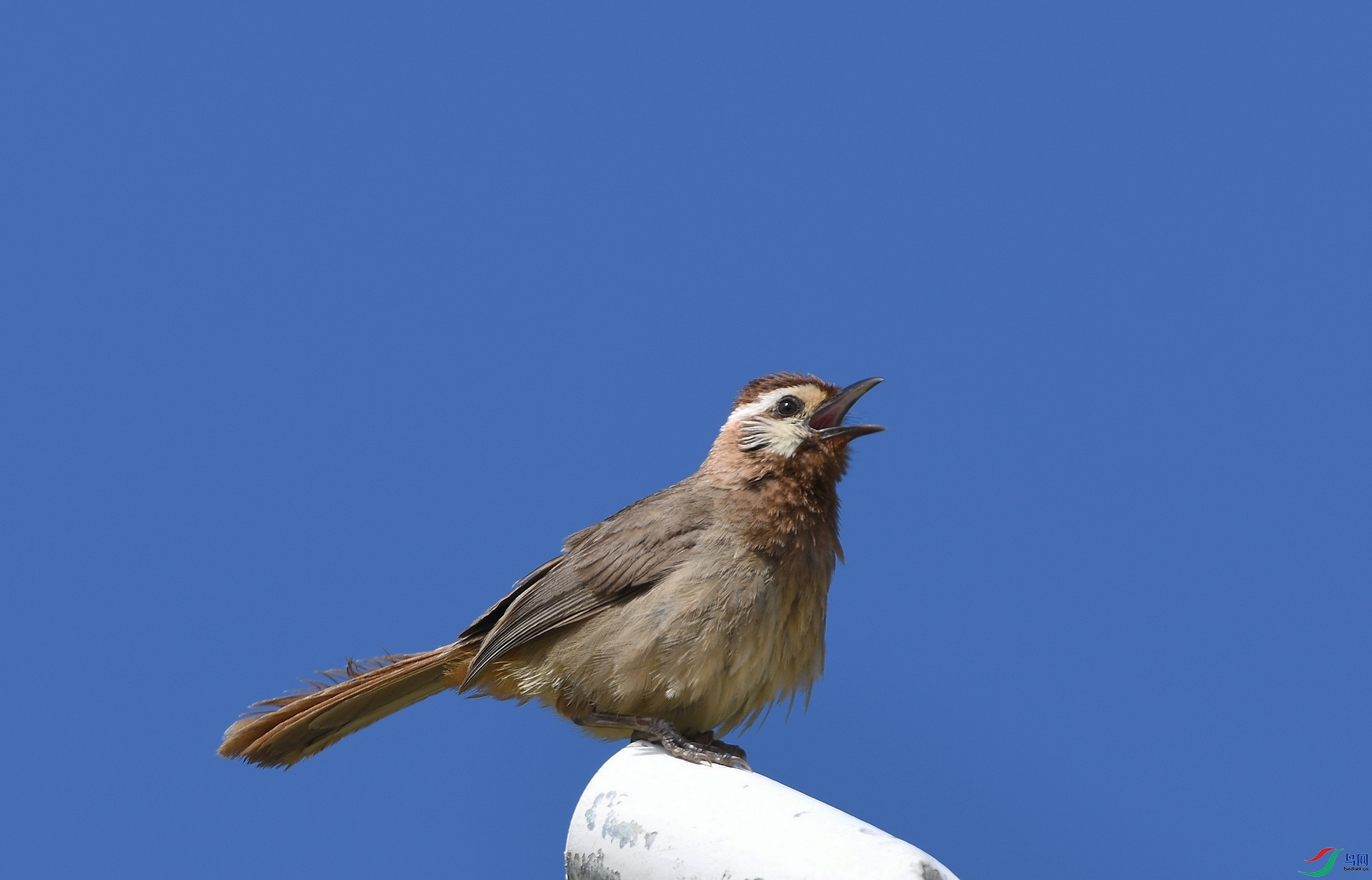 DSC_8982.jpg