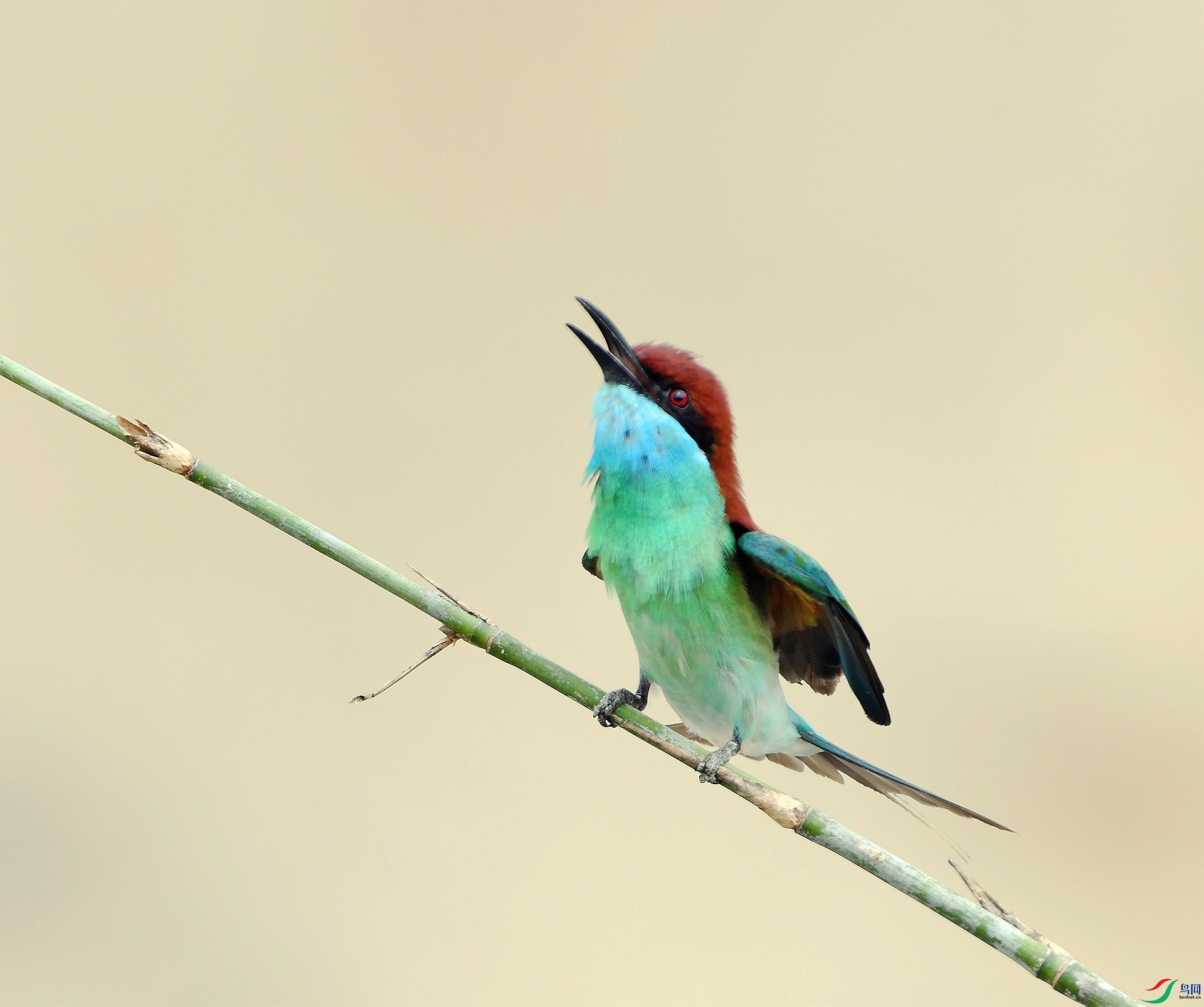 DSC_5835.jpg