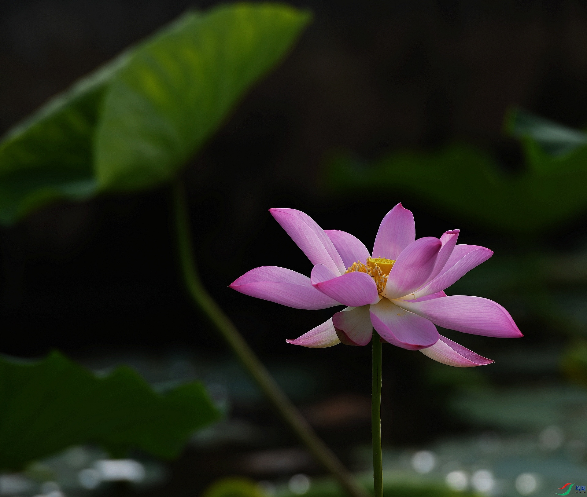 DSC_7196.jpg