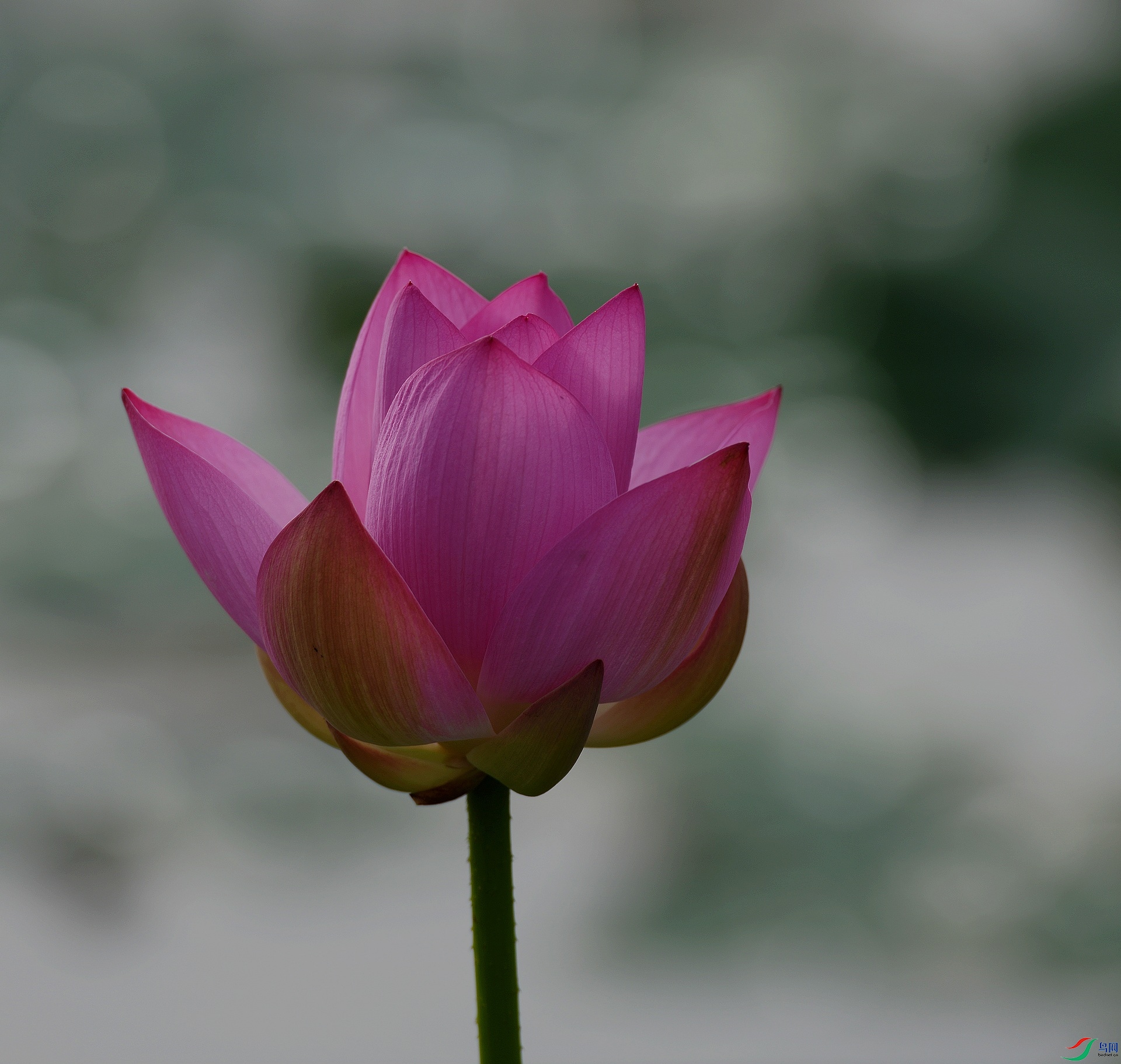 DSC_7195.jpg