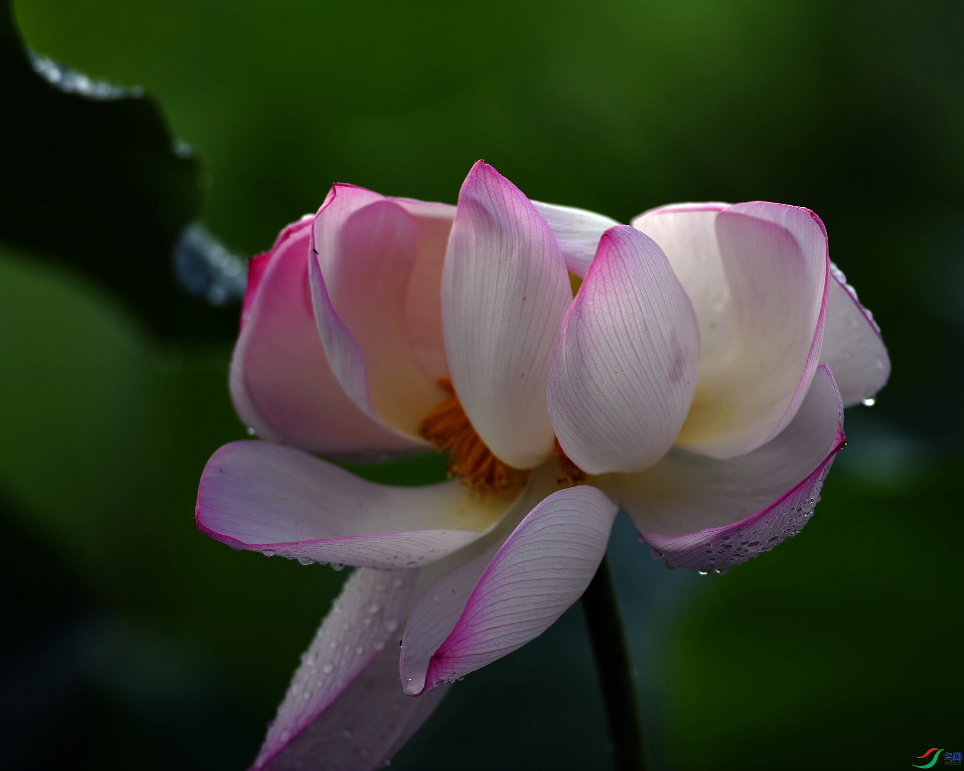 DSC_7192.jpg