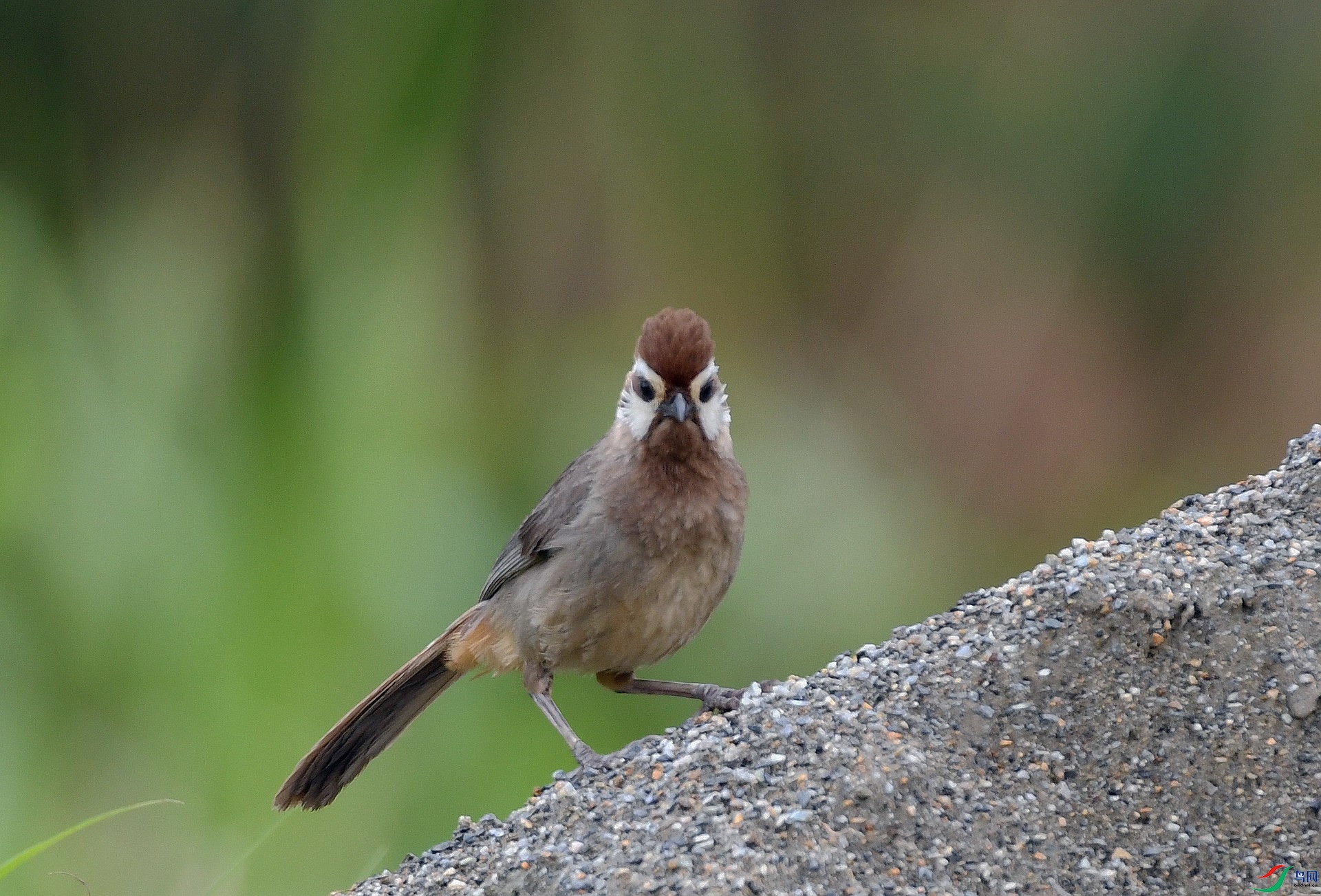 DSC_4256.jpg