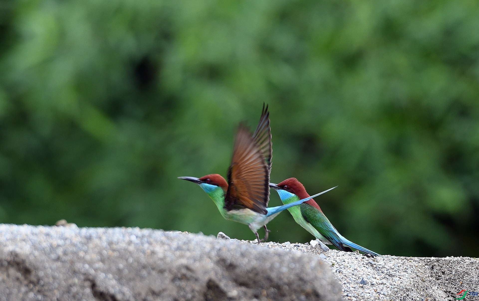 DSC_4349.jpg